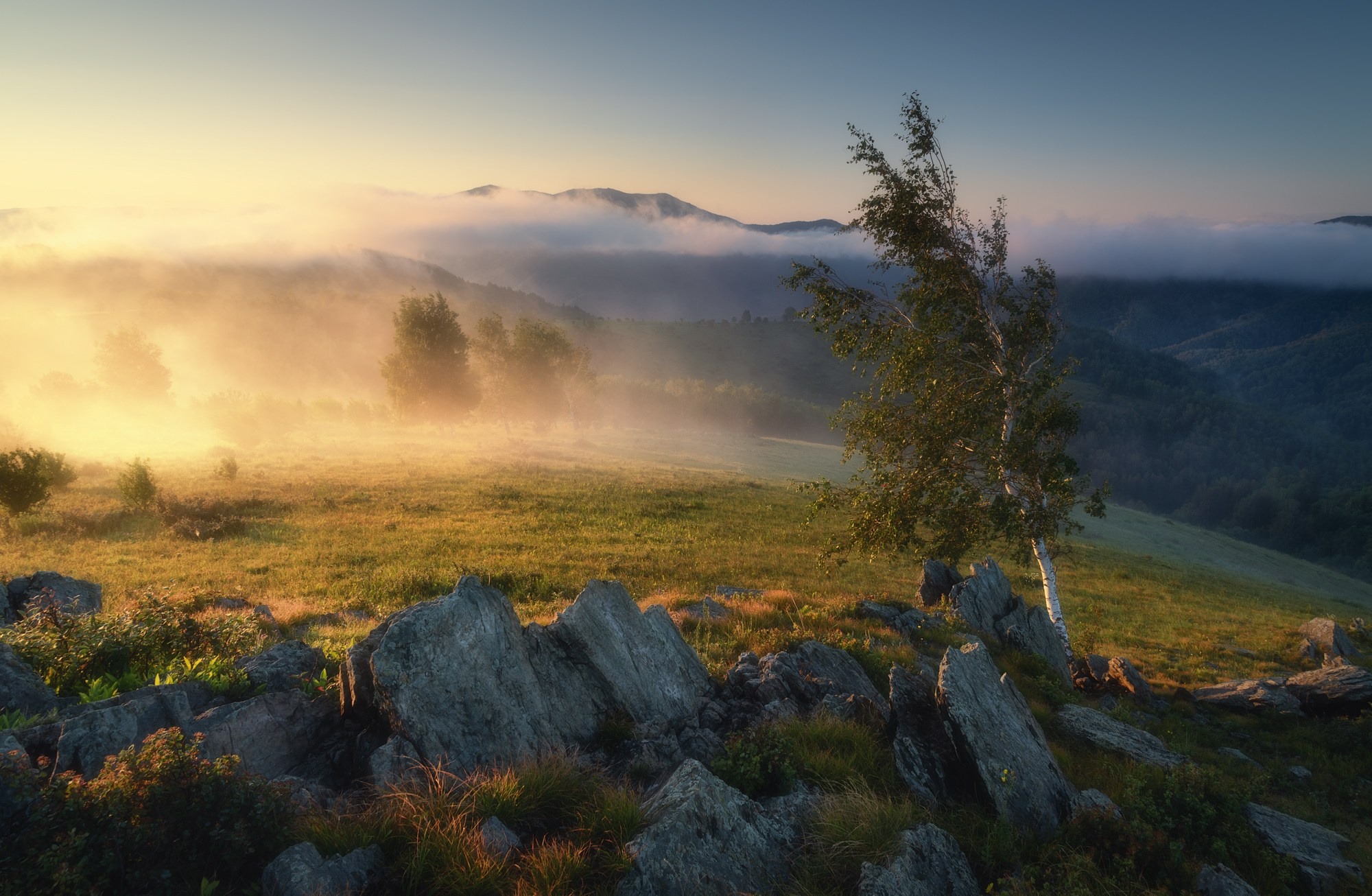 Мой Алтай: как всё начиналось. Профессиональный пейзажный фотограф Алёна Рубан