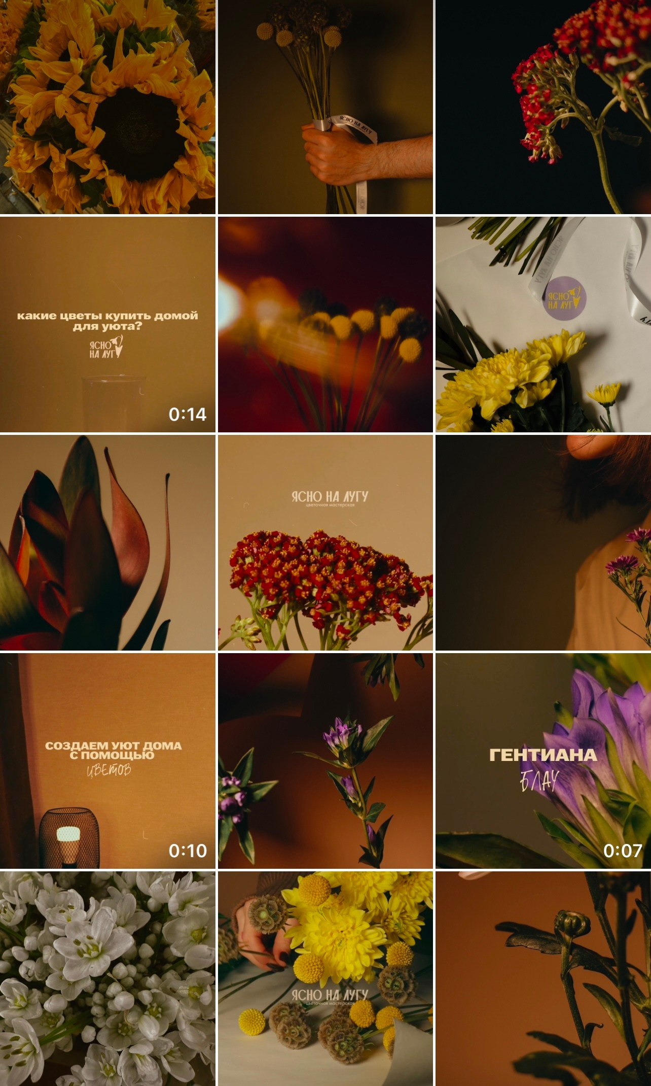 Визуал all in цветочная мастерская. Кинематографичный фотограф, видеограф Лина Плешакова, Санкт-Петербург