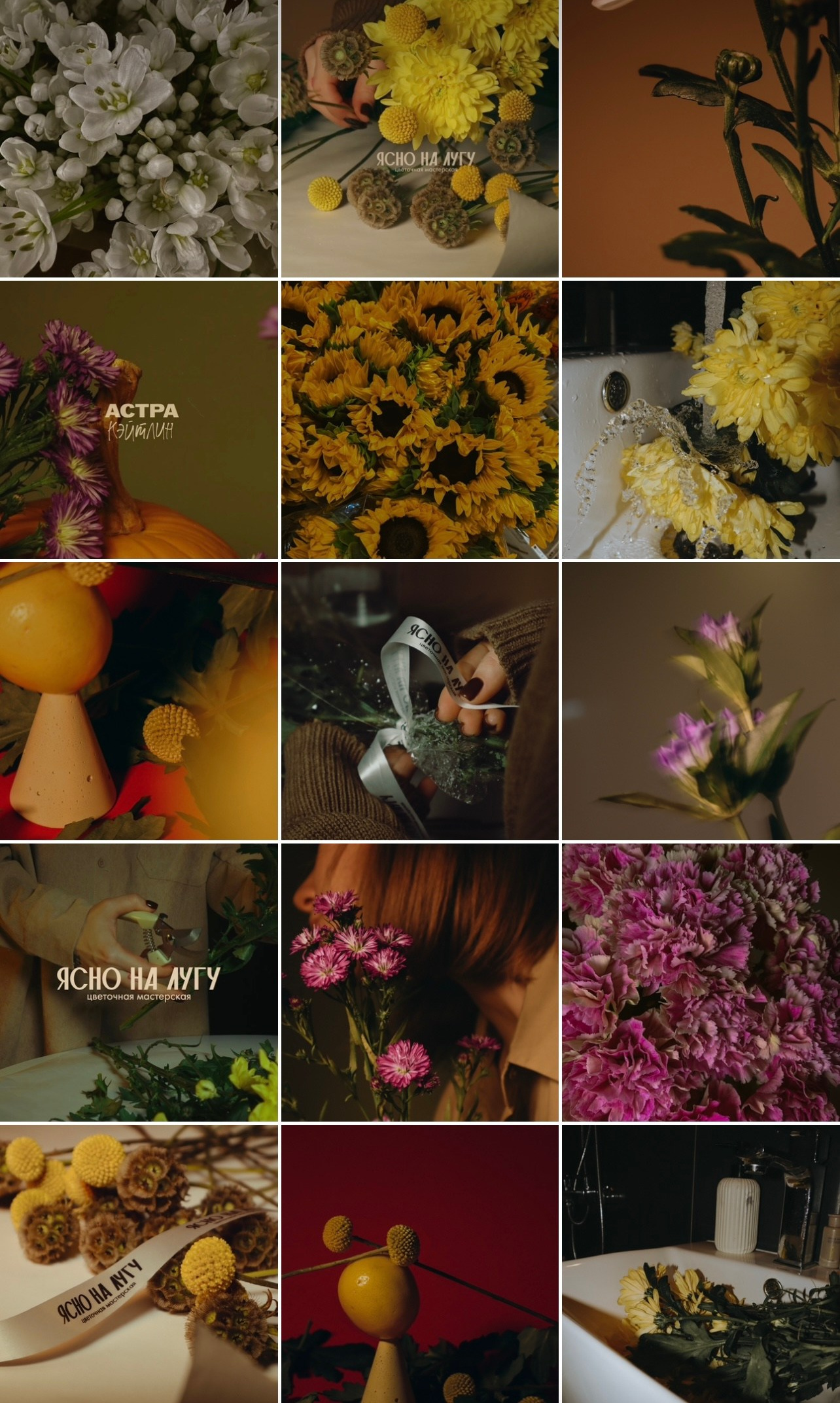 Визуал all in цветочная мастерская. Кинематографичный фотограф, видеограф Лина Плешакова, Санкт-Петербург
