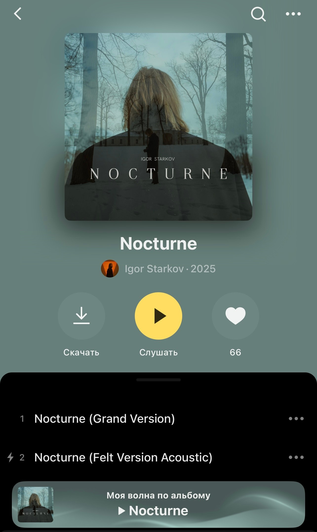 • Filming. Cinematic presets video/photo, visual, content creator Lina Pleshakova