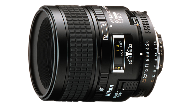 Nikon Z fc Camera with AF Micro-Nikkor 60mm f/2.8D. Examples of RAW files