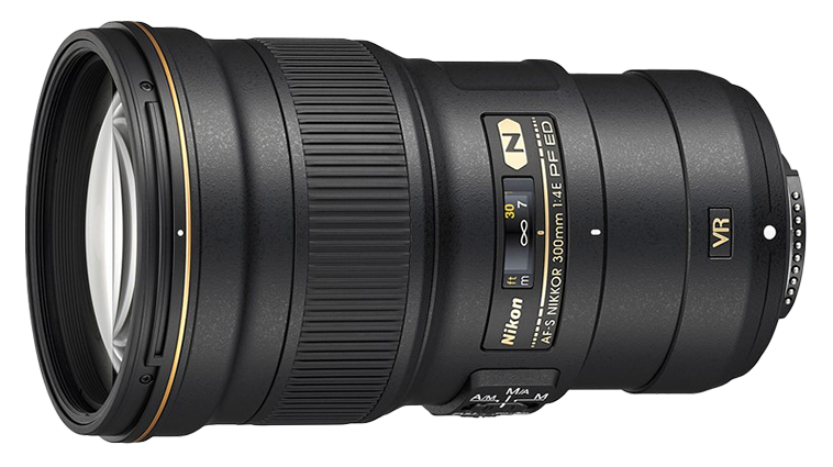 Nikon D5 Camera with AF-S Nikkor 300mm f/4E PF ED VR. Examples of RAW files