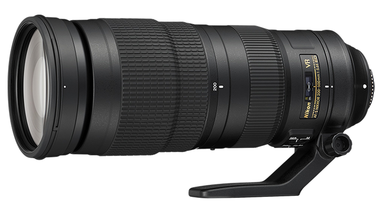 Nikon D5600 Camera with AF-S Nikkor 200-500mm f/5.6E ED VR. Examples of RAW files