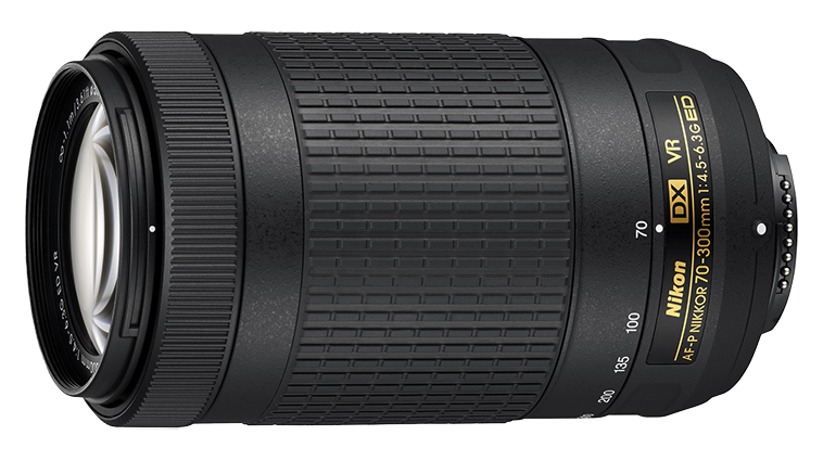 Nikon D500 Camera with AF-P DX Nikkor 70-300mm f/4.5-6.3G ED VR. Examples of RAW files