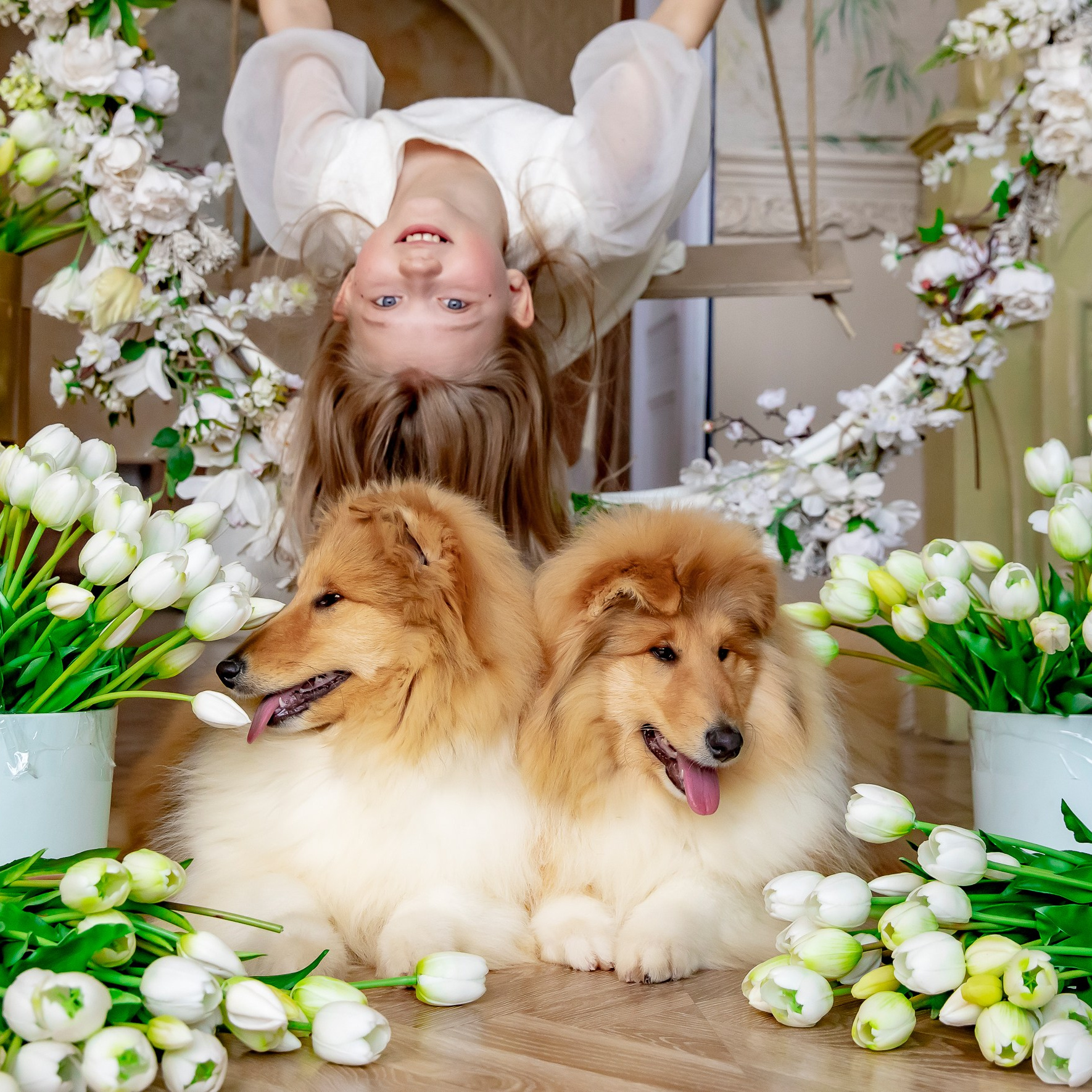 Главная. Фотограф — видеограф Алиса Дружинина