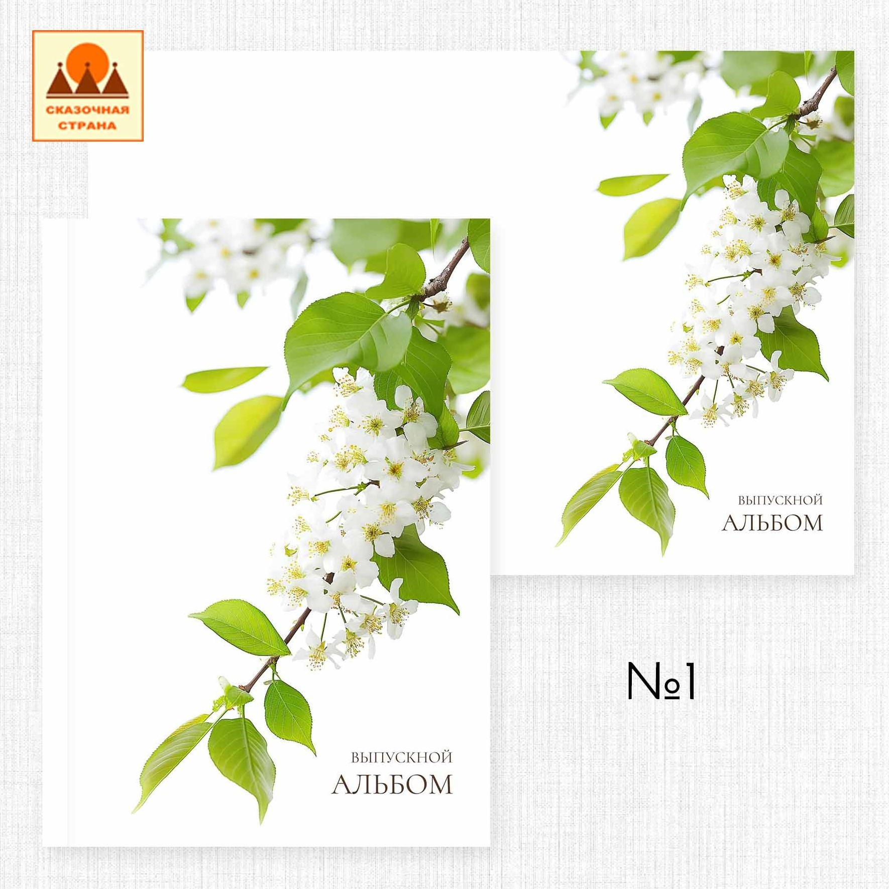 Мак обложки. Фотограф Виктория Казановская в Каменске-Шахтинском