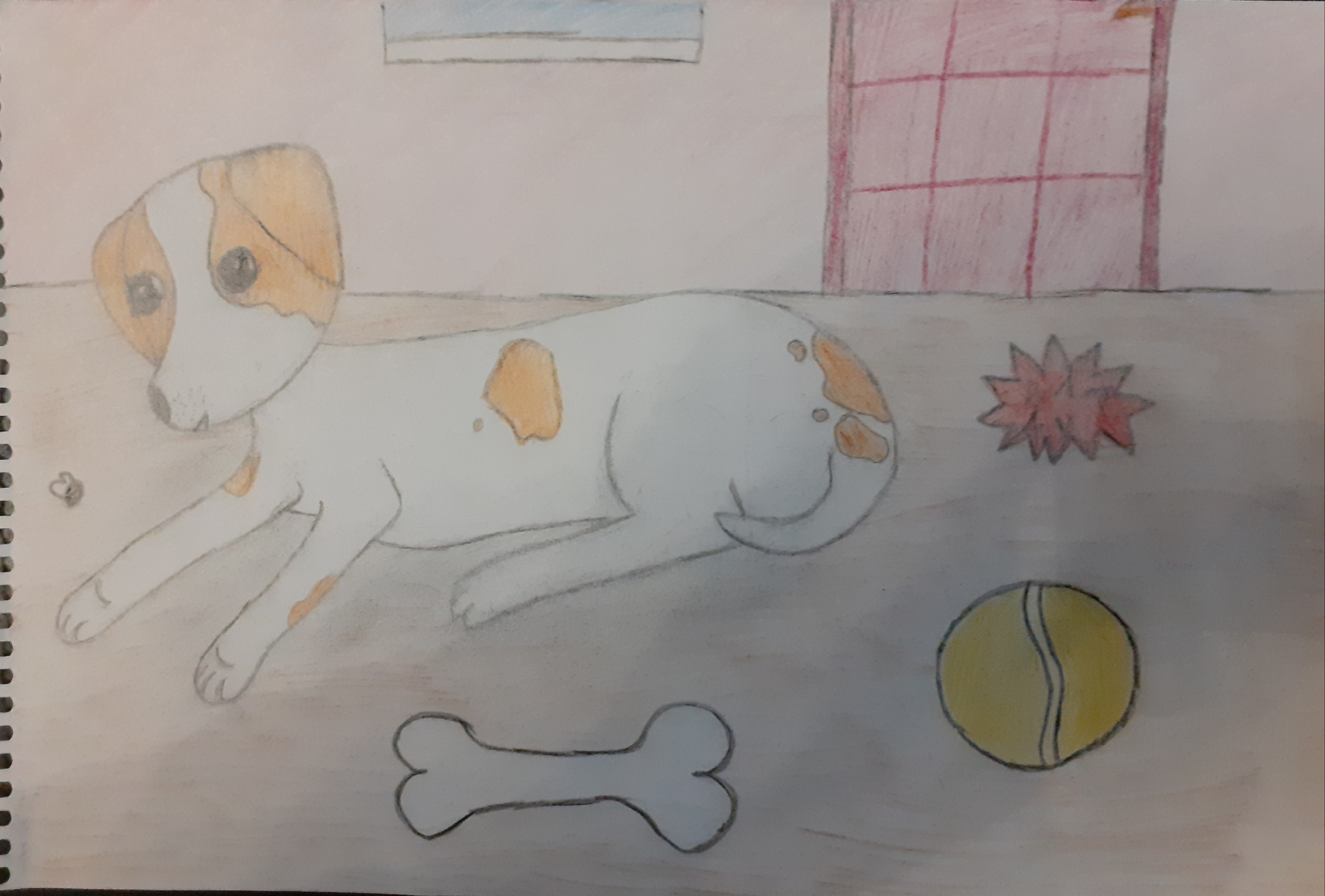 КОНКУРС ДЛЯ ЮНЫХ СОБАКОВОДОВ!!!. НРОО КЦ "Собаковод"