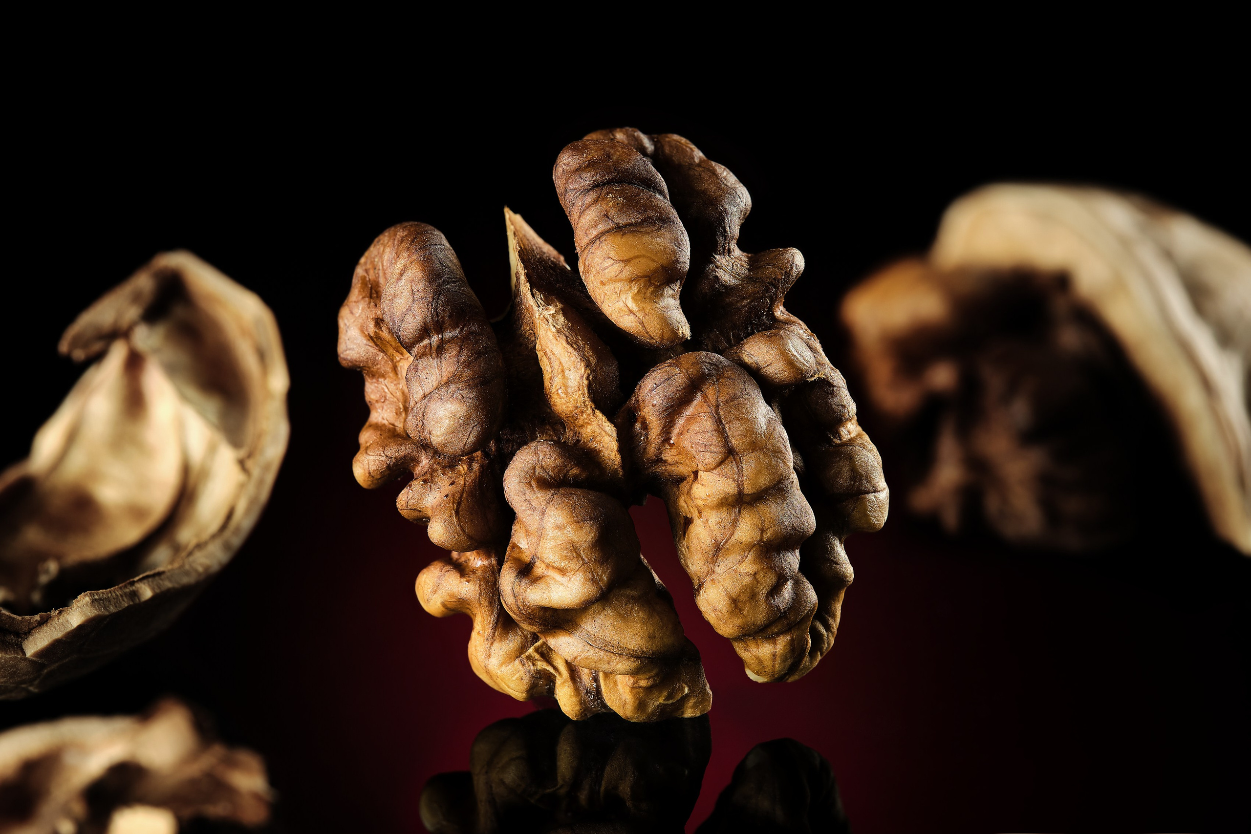 Грецкий орех в макросъёмке на тёмном фоне, исследование формы и фактуры