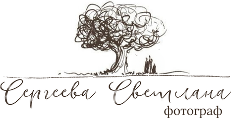 sergeeva-ph.ru