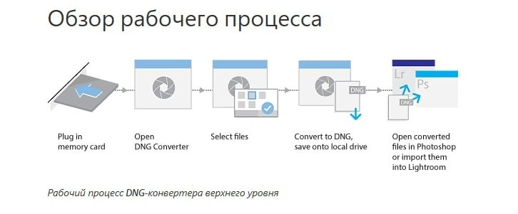 Adobe Digital Negative Converter. Фотошкола Елены Светловой (Санкт-Петербург)