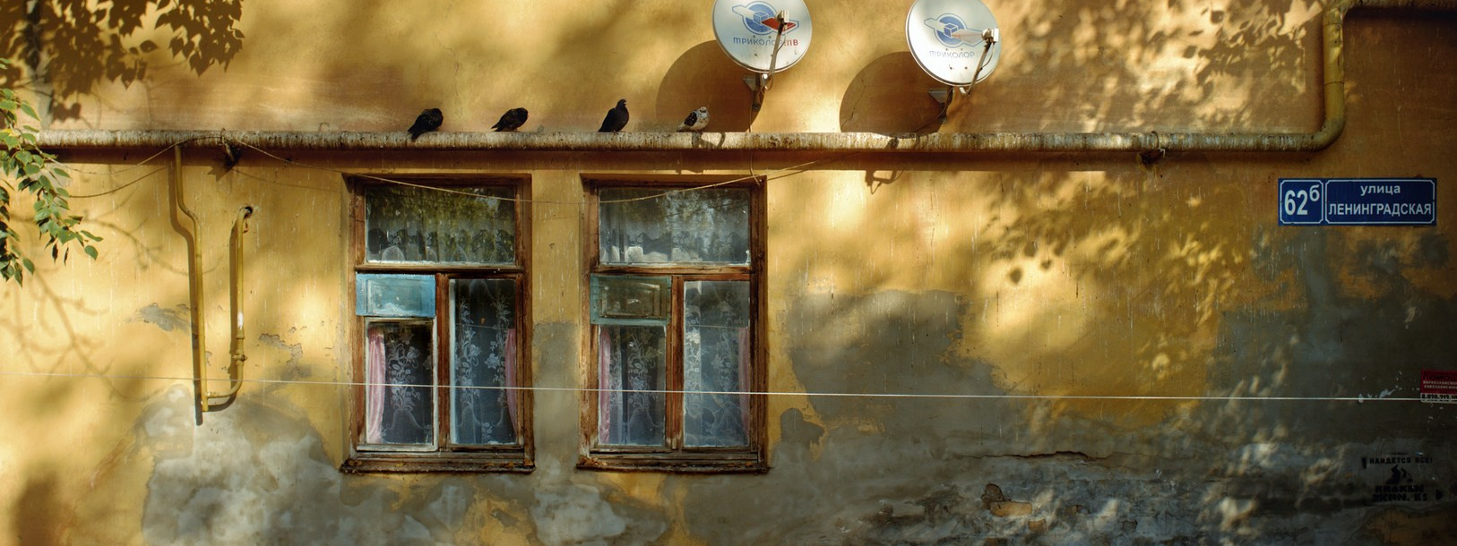 Руслан Шувалов (поэтограф)