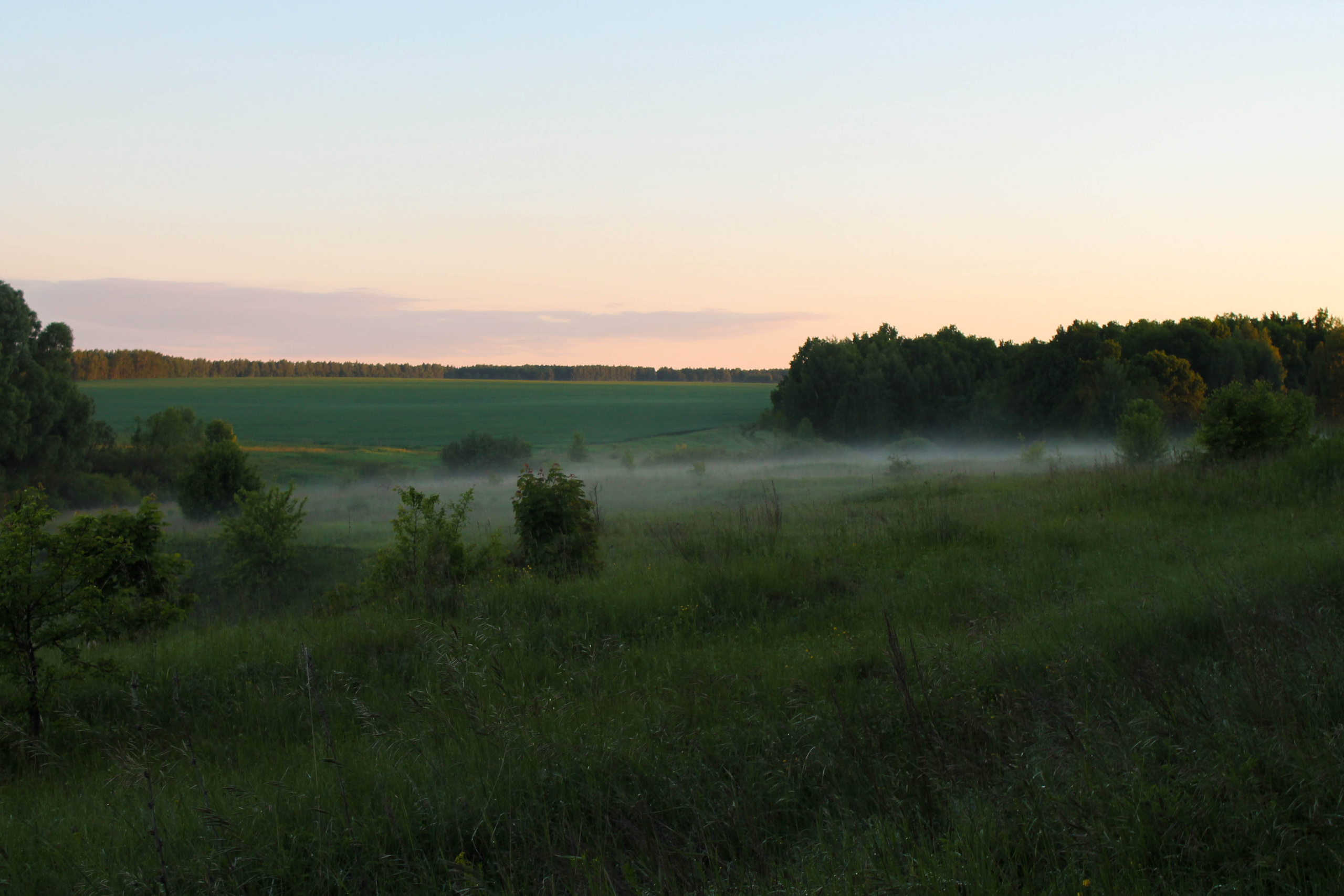Wallpaper. Семейный фотограф Ирина Крючкова
