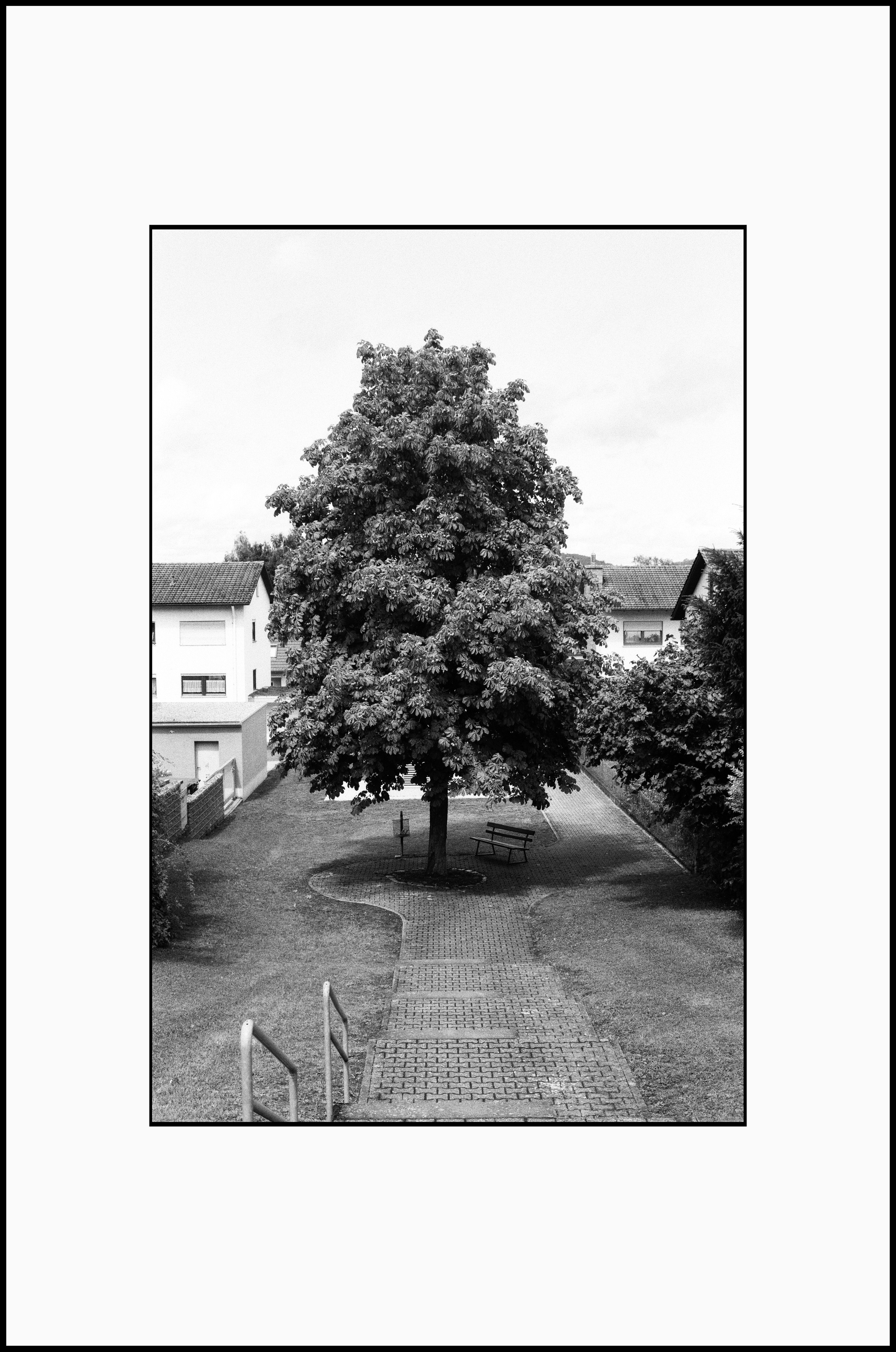 Prints. Katya Zimina, film photographer