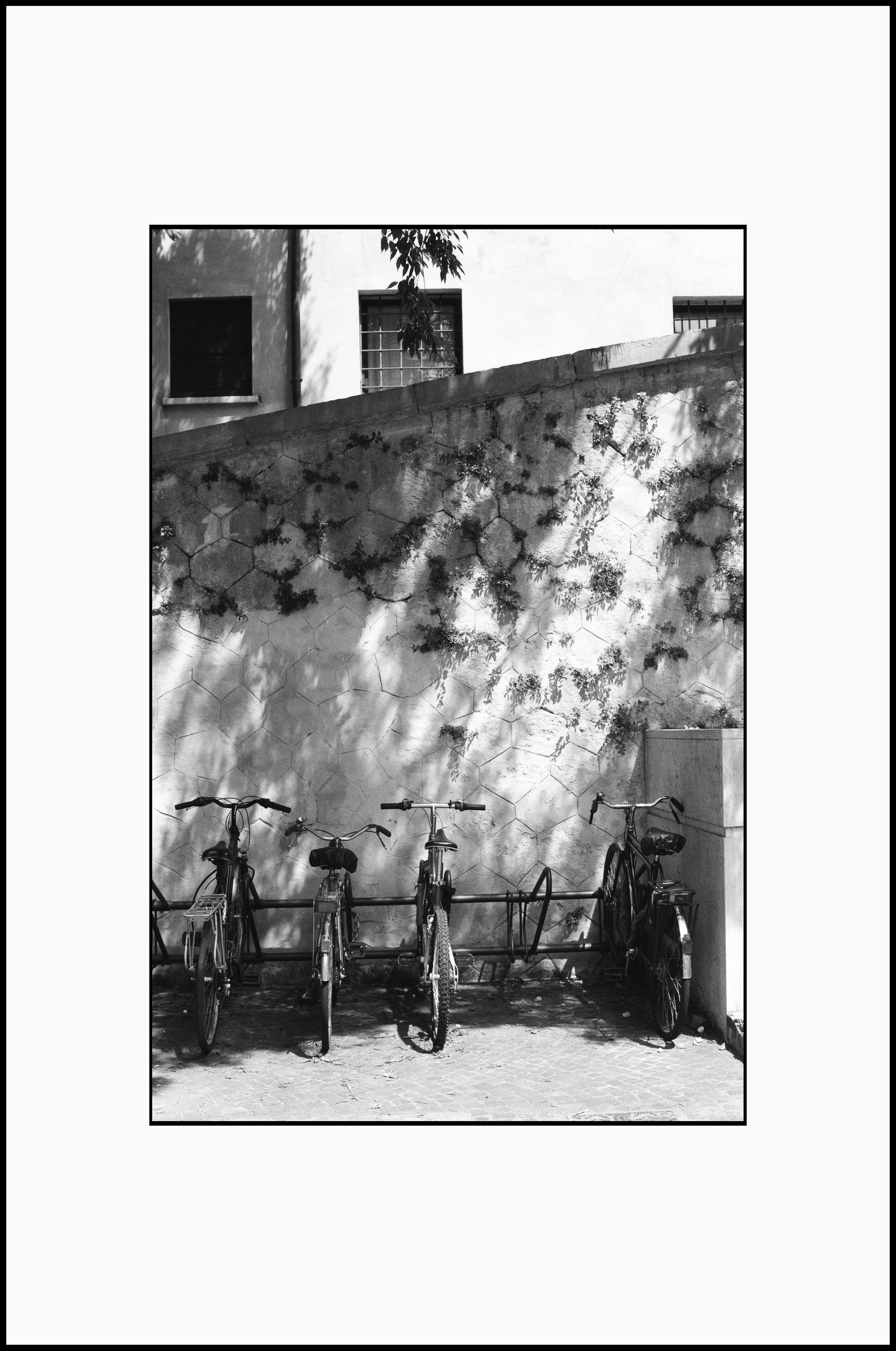 Prints. Katya Zimina, film photographer