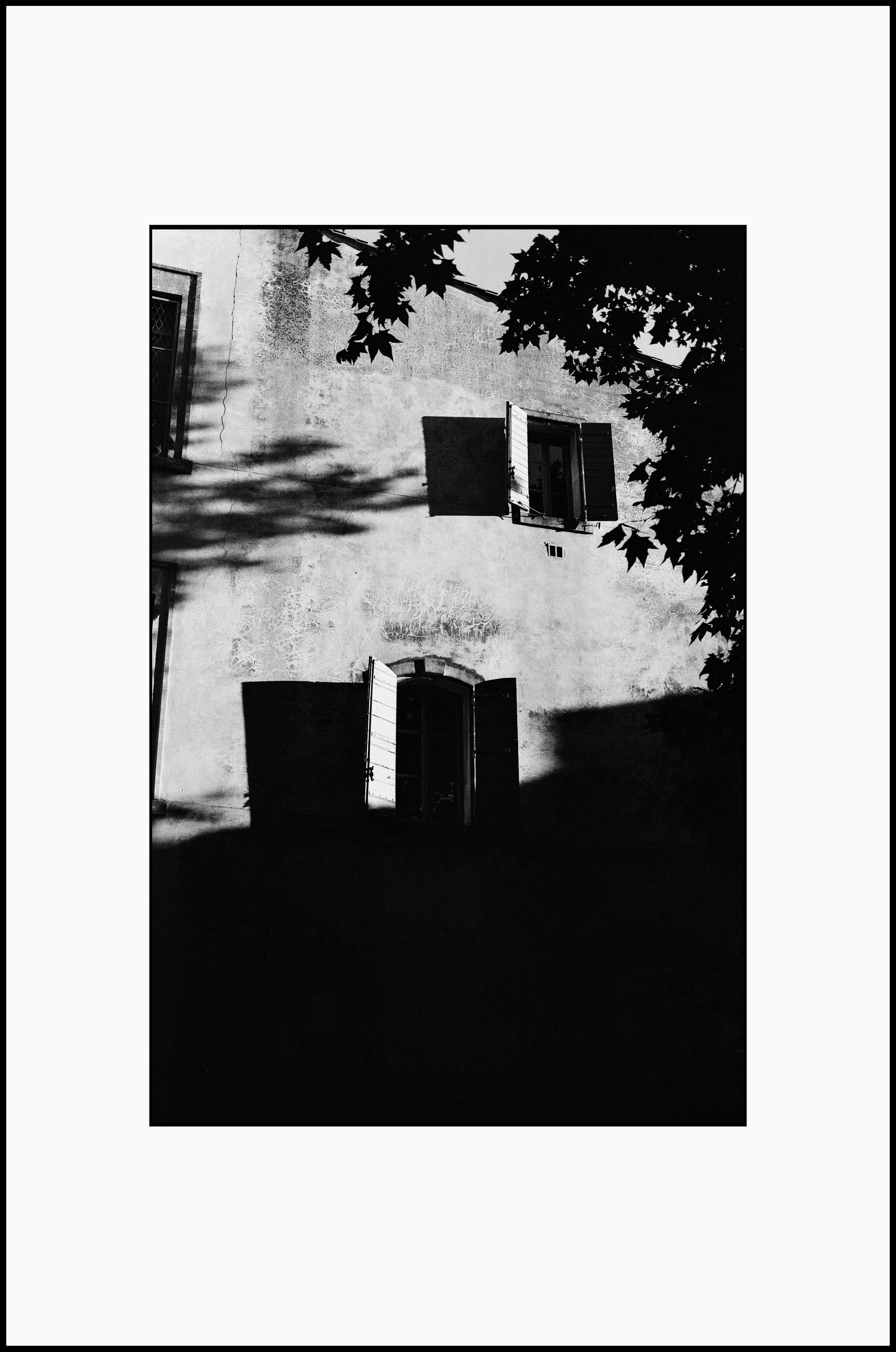 Prints. Katya Zimina, film photographer