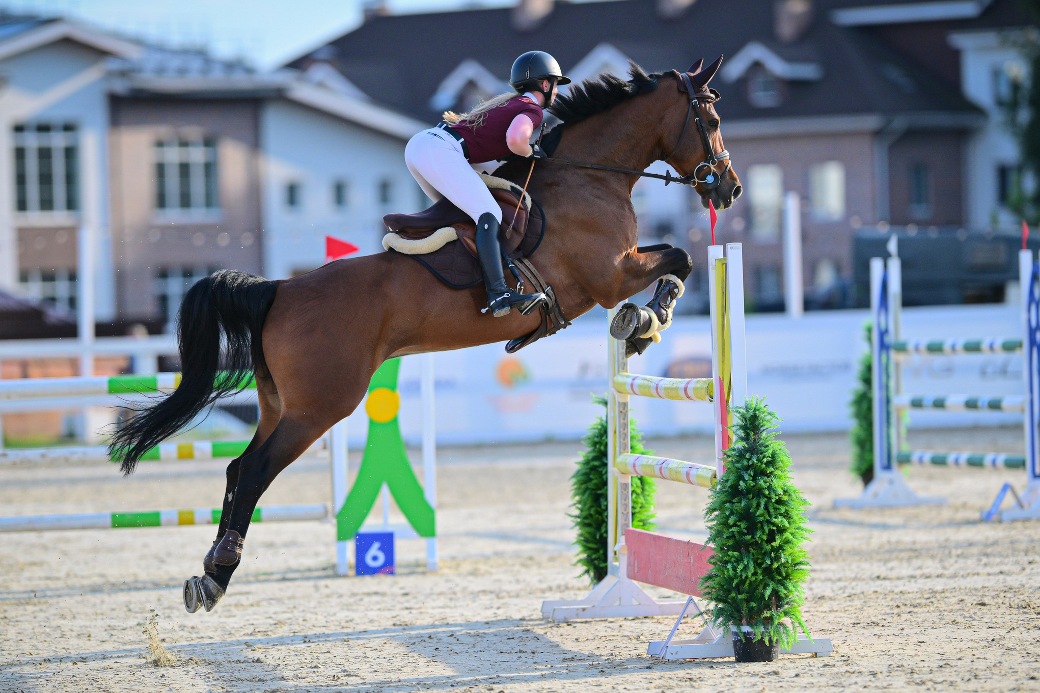 КСК Хорсека 8 и 10 августа. ТУРНИРНАЯ КОННАЯ ФОТОГРАФИЯ, Руднева Ольга и Евгений Адеев