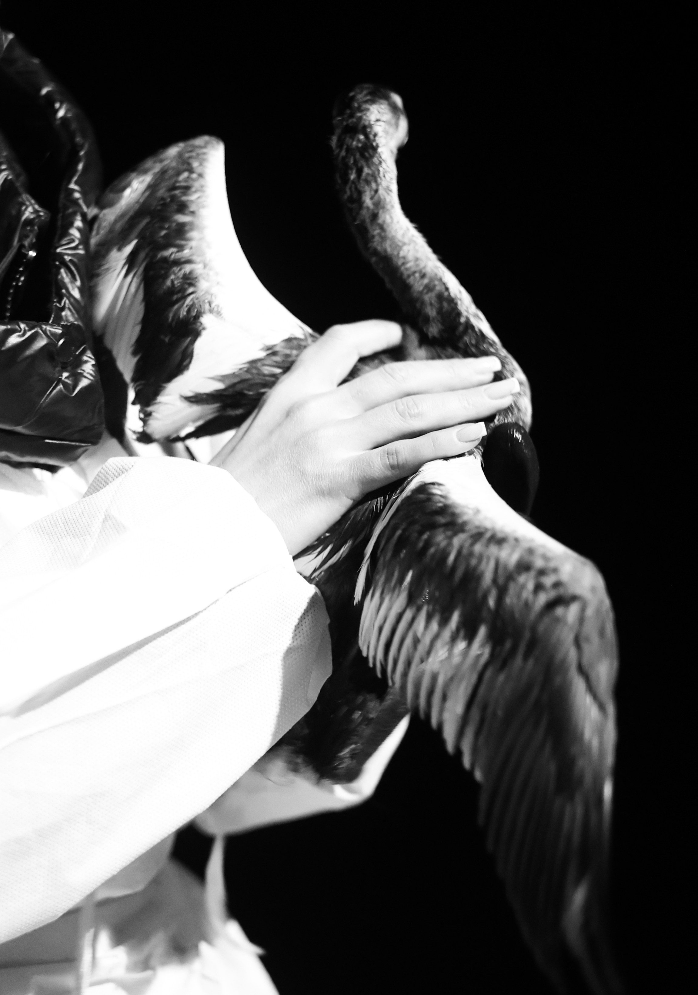 Фотовыставка «Черное море» | nasa loseva