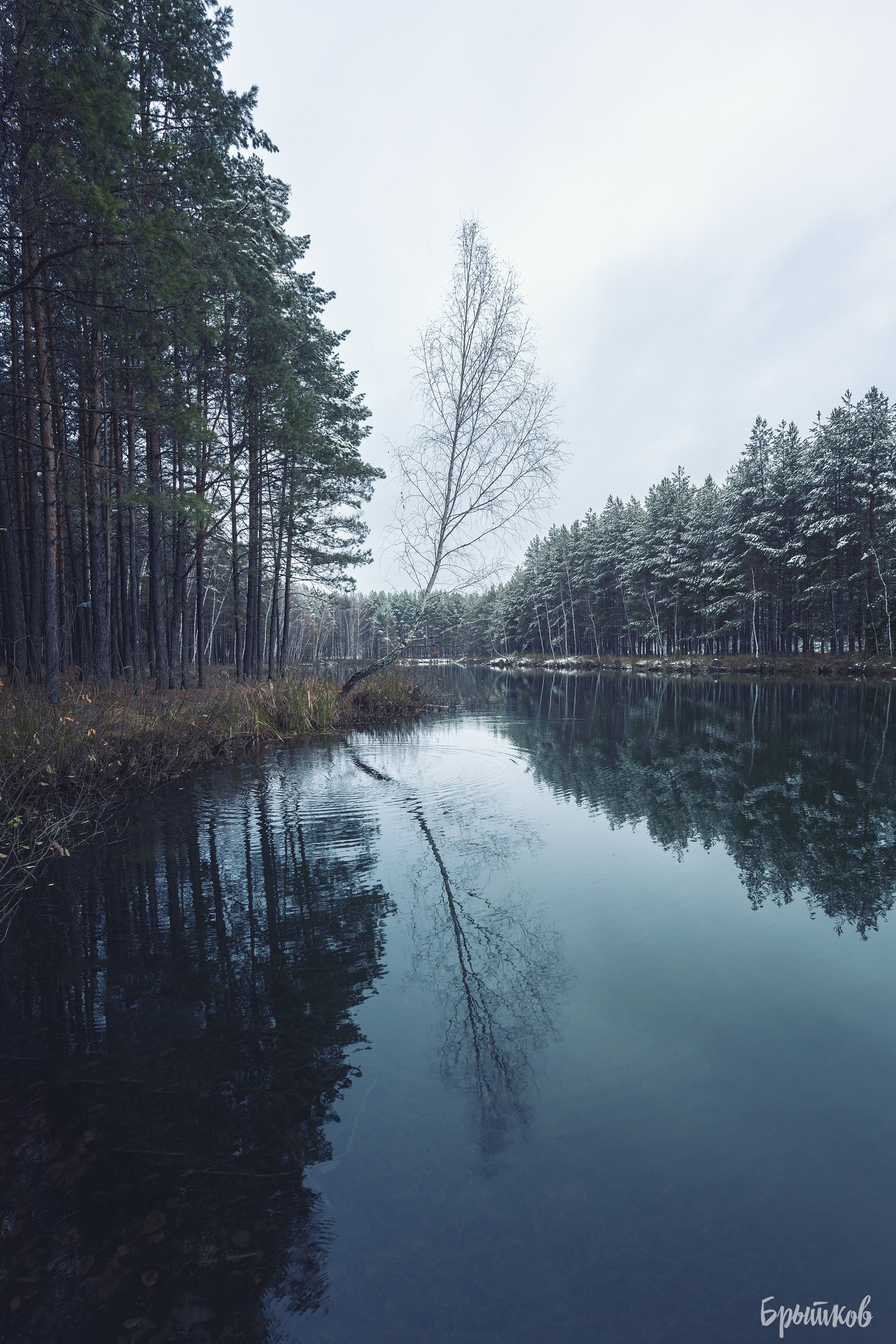 Хмурый день на оз. Штаны. Николай Брытков — фотограф в Туле