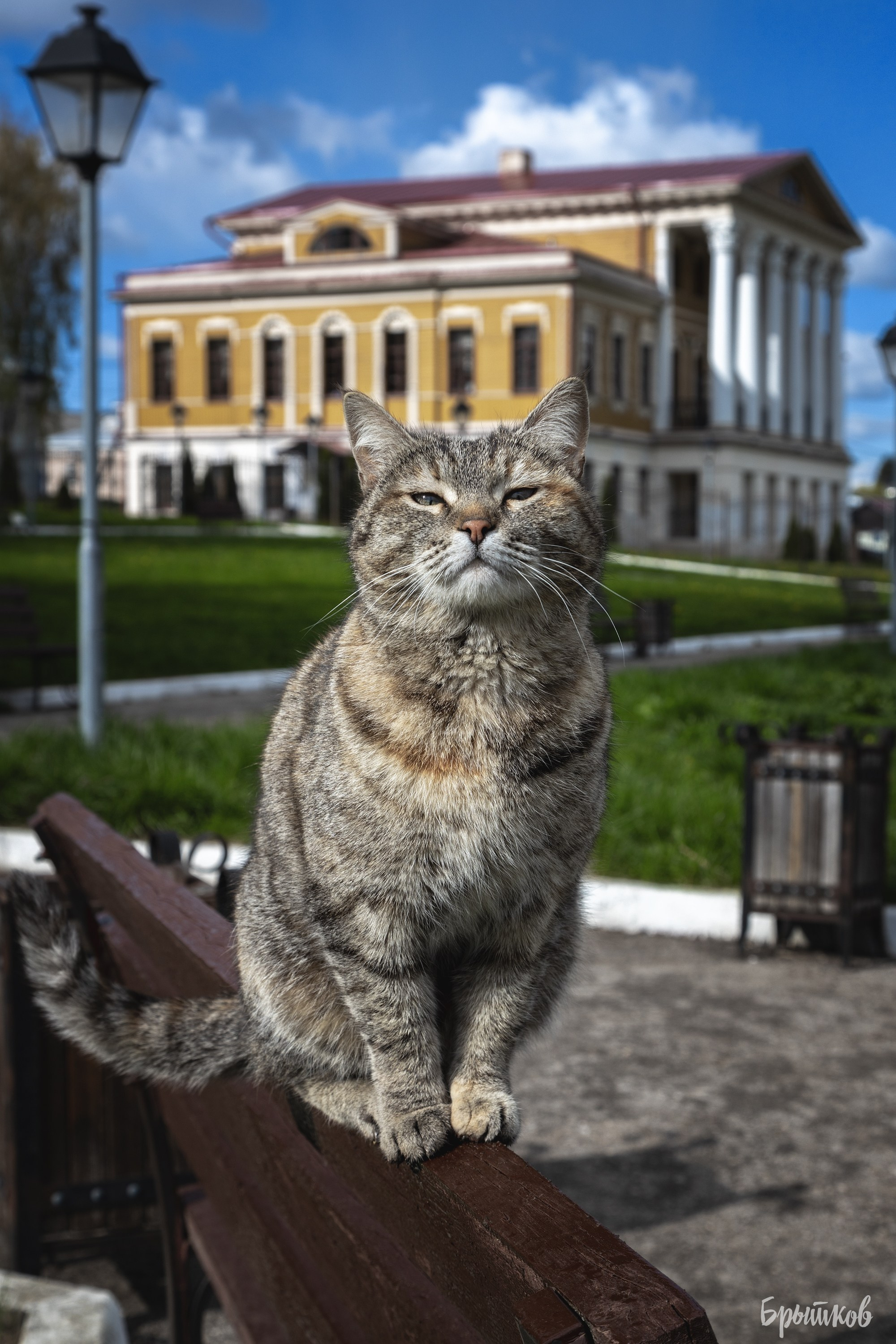 Дом Мосоловых в Дубне: удивительное рядом. Николай Брытков — фотограф в Туле