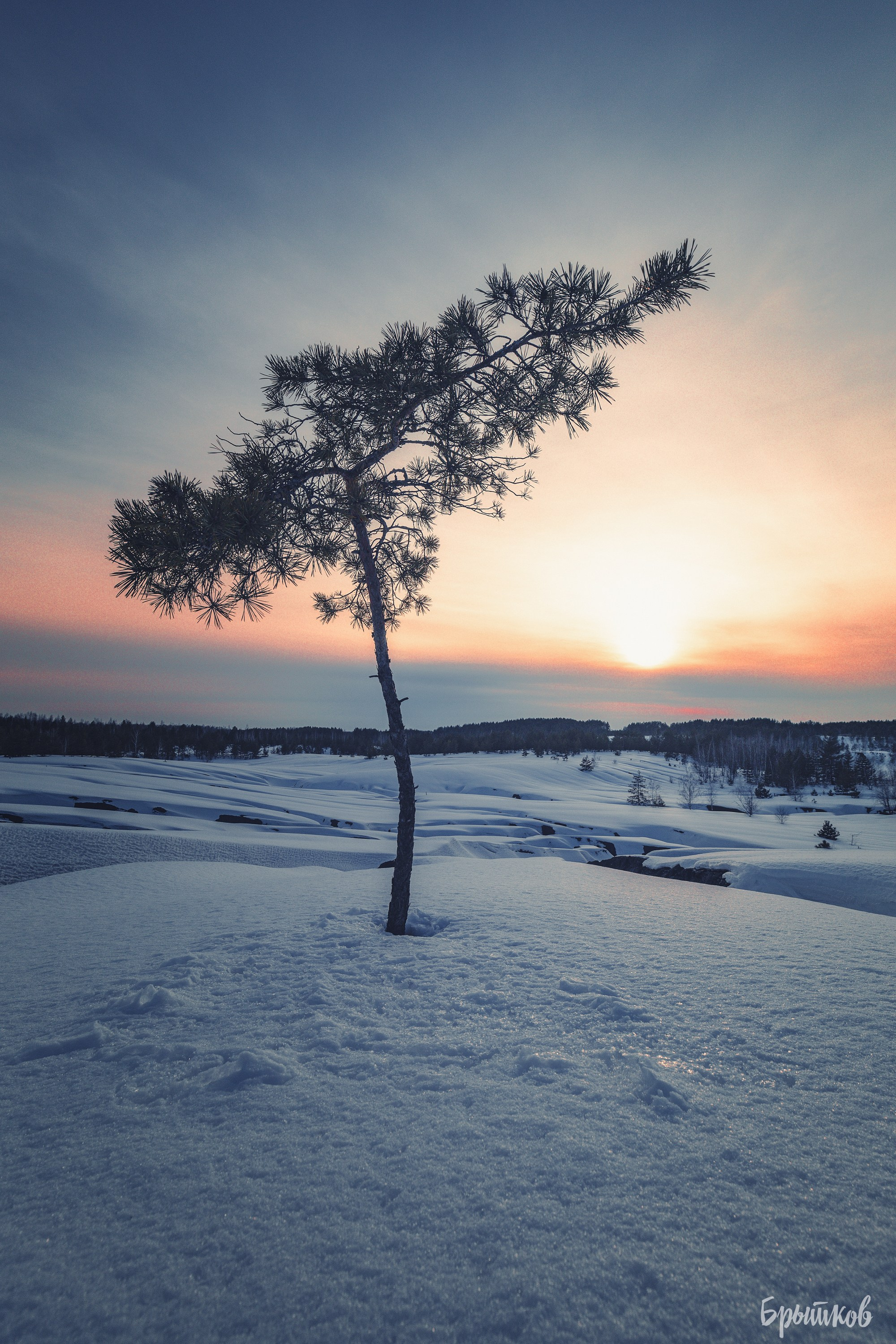 Суворовские карьеры. Николай Брытков — фотограф в Туле