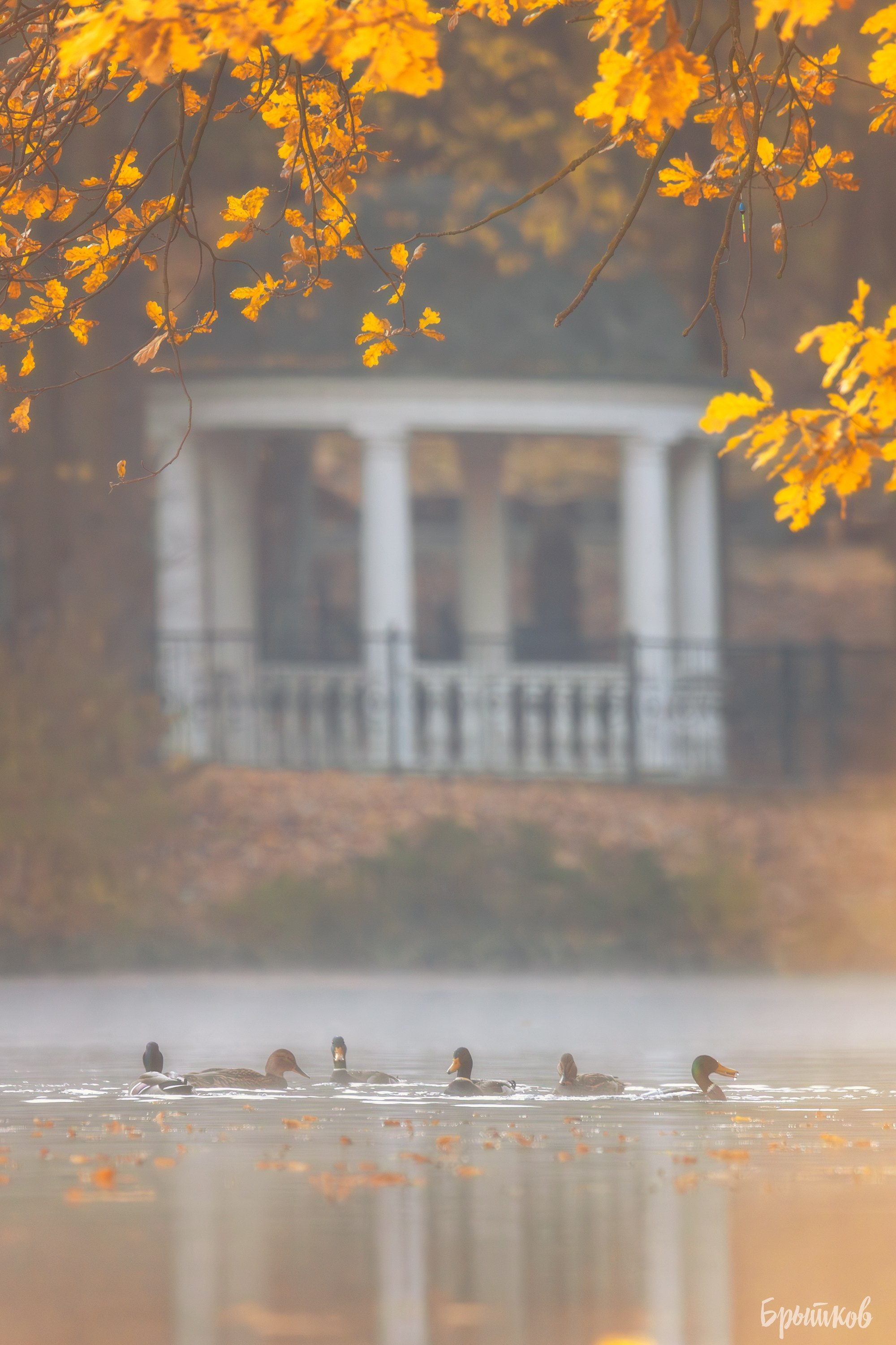 Платовский парк. Николай Брытков — фотограф в Туле