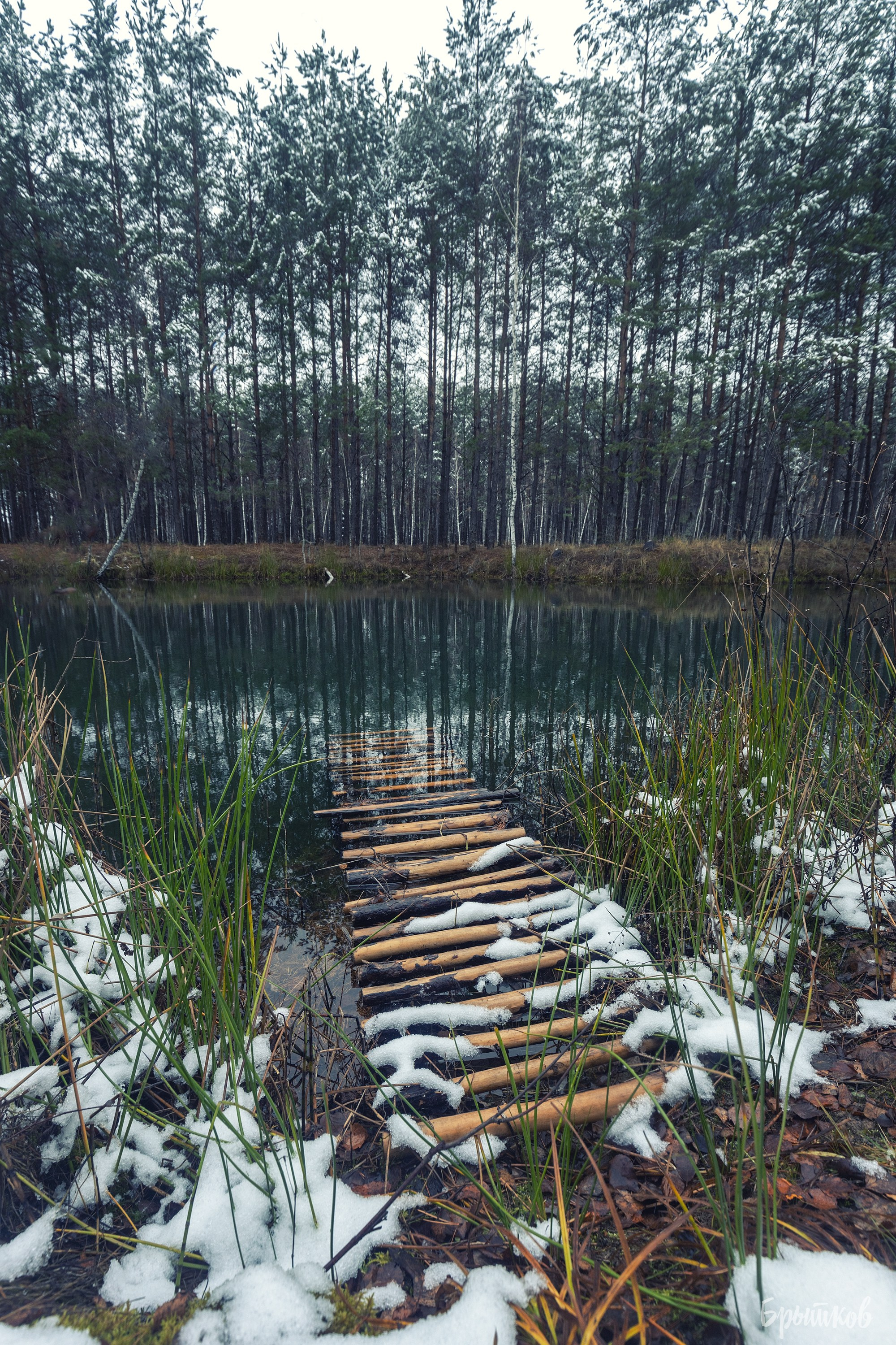 Хмурый день на оз. Штаны. Николай Брытков — фотограф в Туле