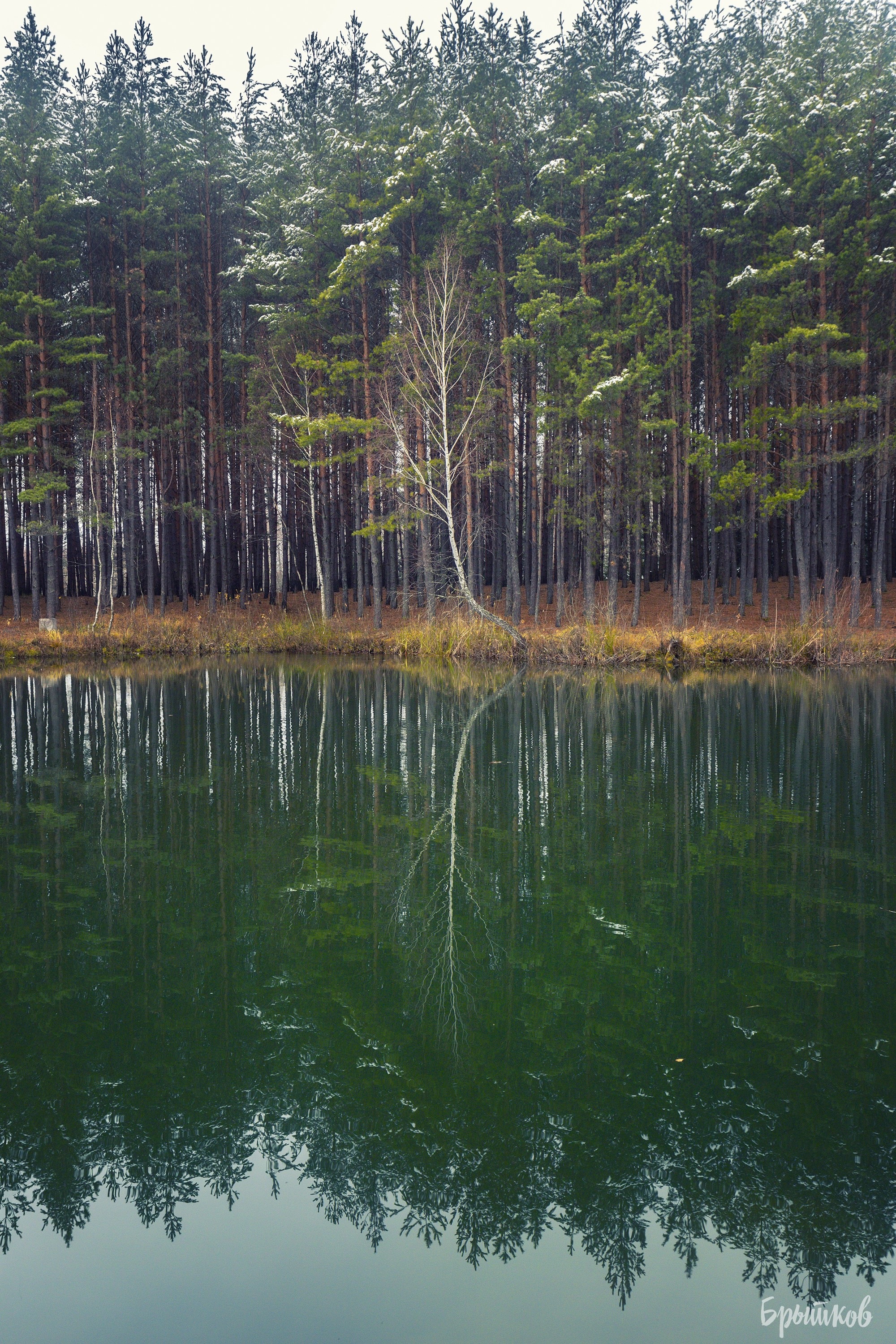 Хмурый день на оз. Штаны. Николай Брытков — фотограф в Туле