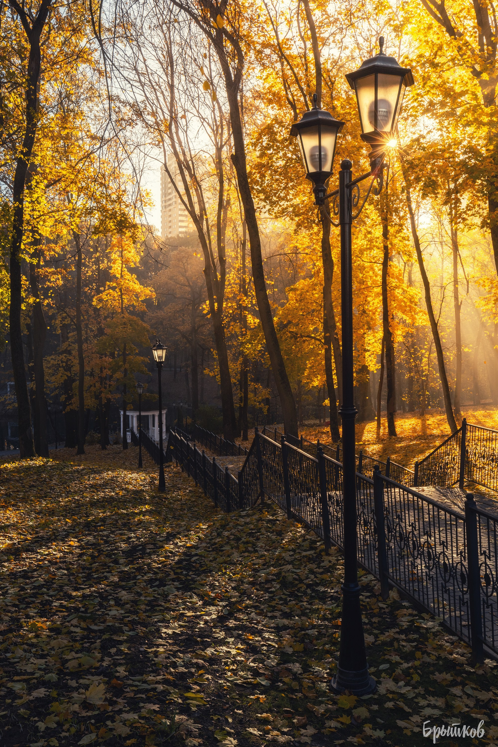 Платовский парк. Николай Брытков — фотограф в Туле