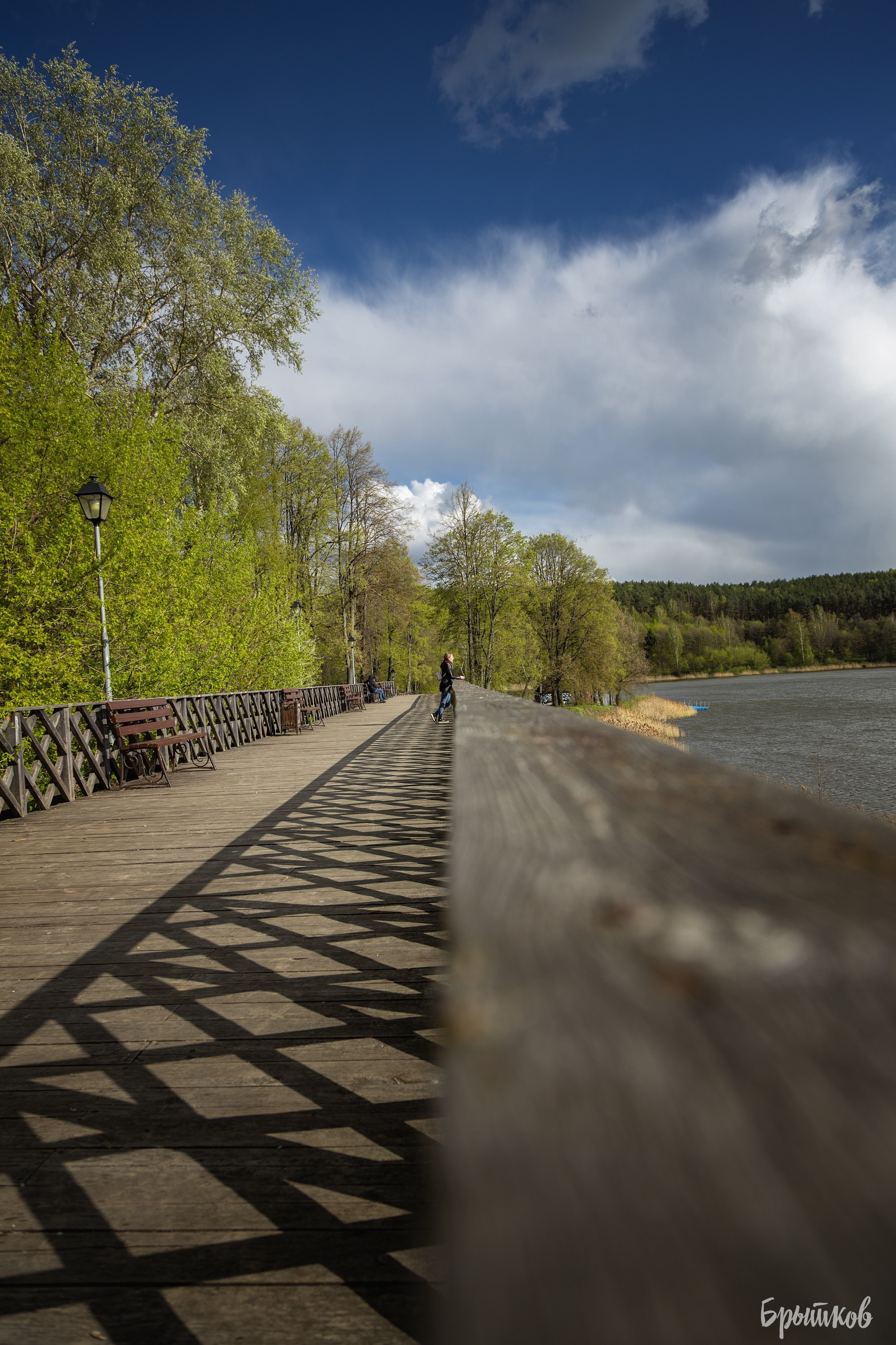Дом Мосоловых в Дубне: удивительное рядом. Николай Брытков — фотограф в Туле