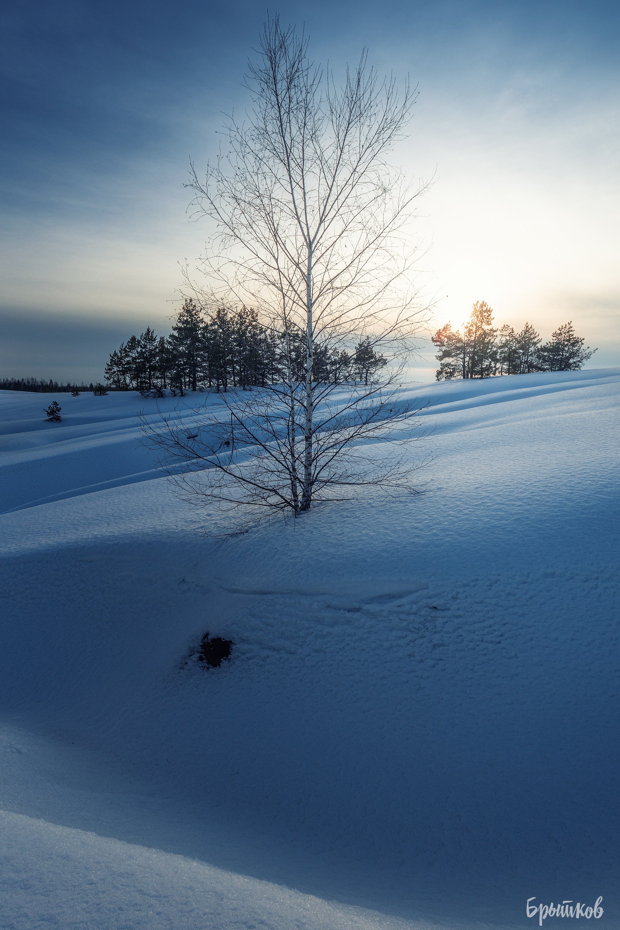 Суворовские карьеры. Николай Брытков — фотограф в Туле