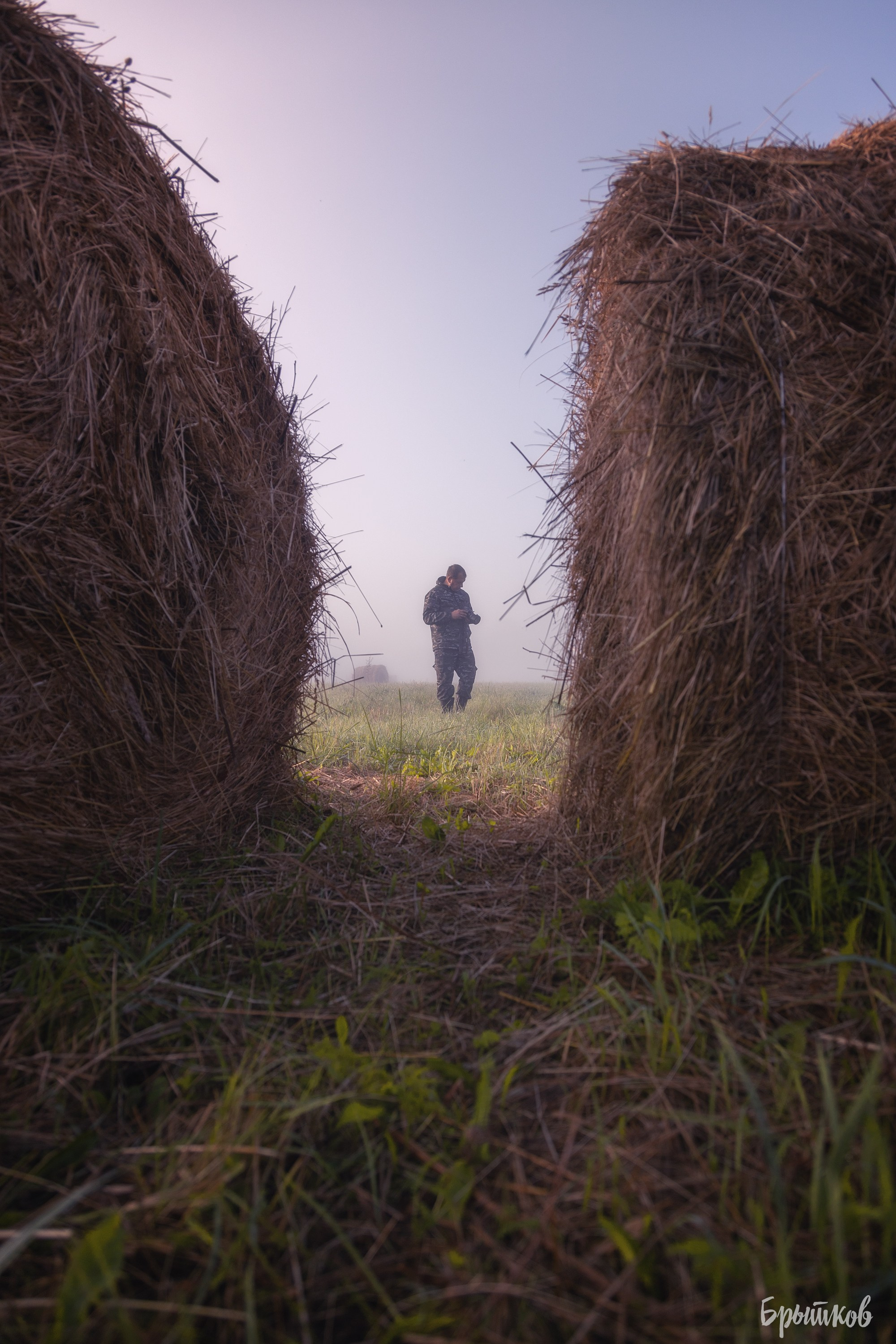 Катышки сена Воздремо. Николай Брытков — фотограф в Туле