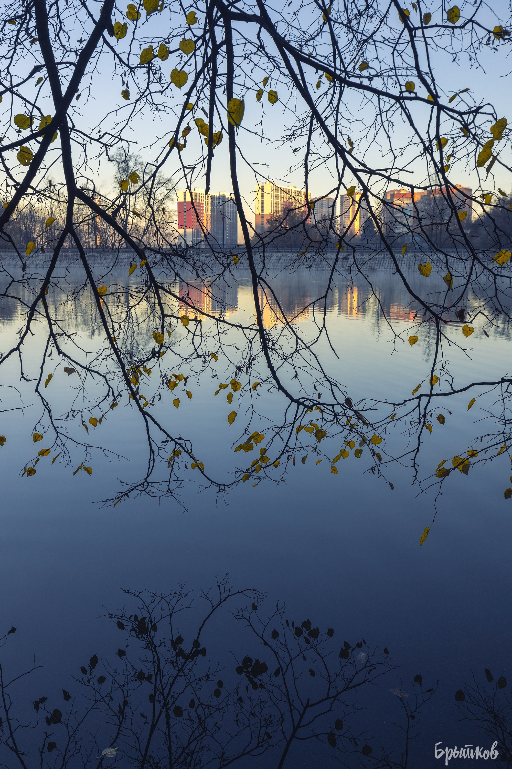 Платовский парк. Николай Брытков — фотограф в Туле