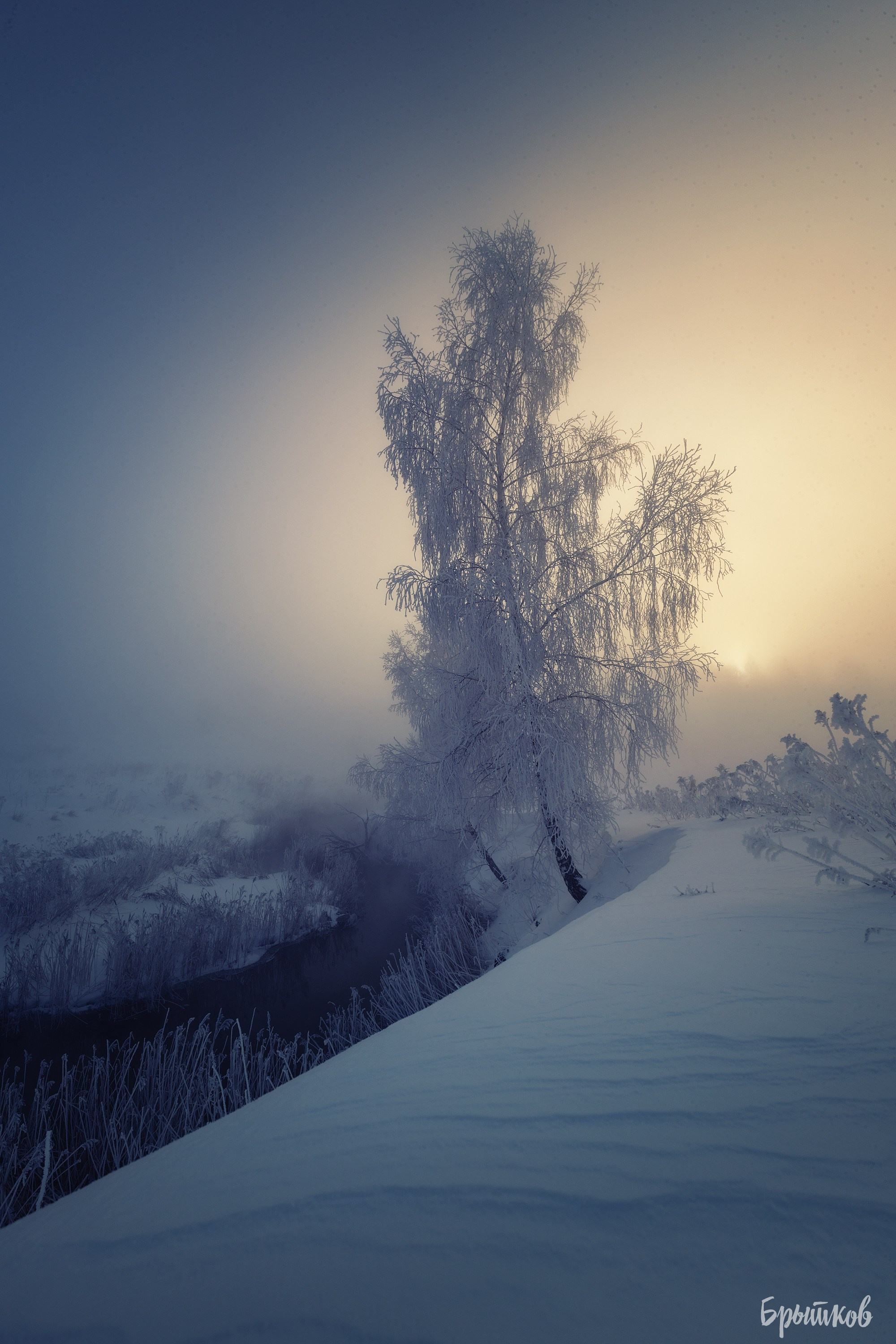 Туман над р. Деготня в районе д. Малая Кожуховка. Николай Брытков — фотограф в Туле