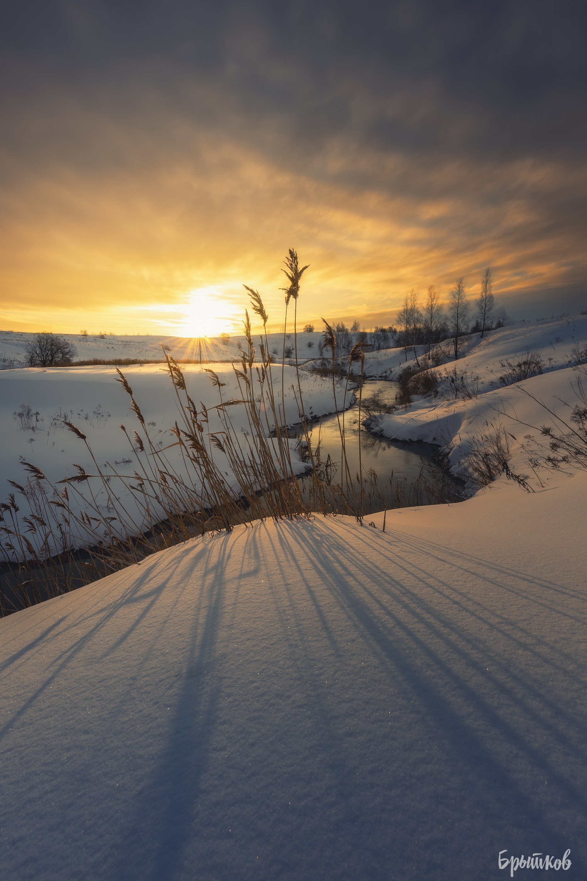 Туман над р. Деготня в районе д. Малая Кожуховка. Николай Брытков — фотограф в Туле