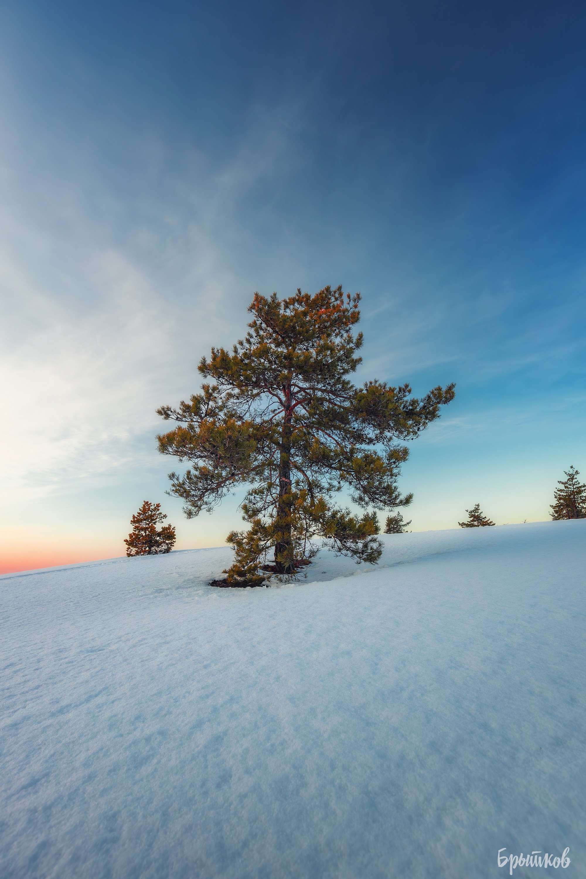 Суворовские карьеры. Николай Брытков — фотограф в Туле