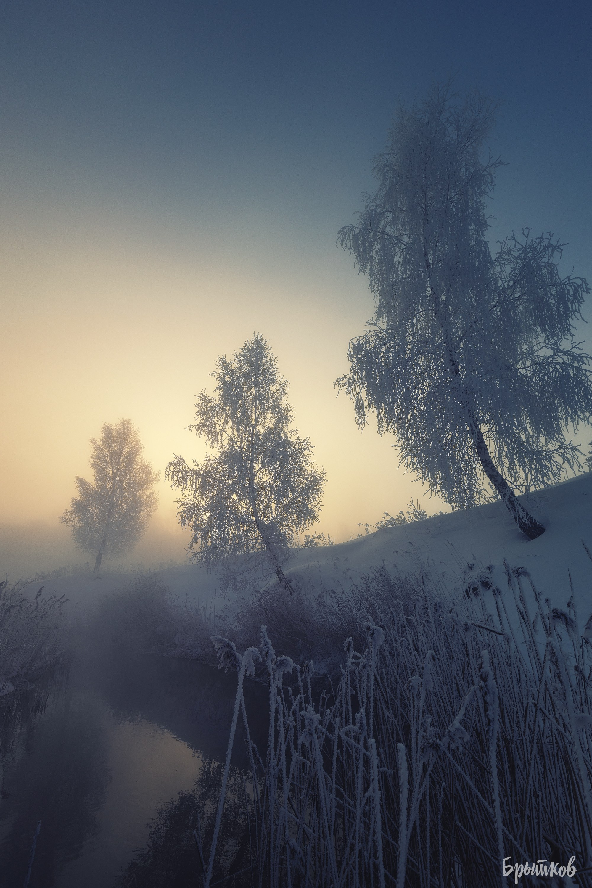 Туман над р. Деготня в районе д. Малая Кожуховка. Николай Брытков — фотограф в Туле