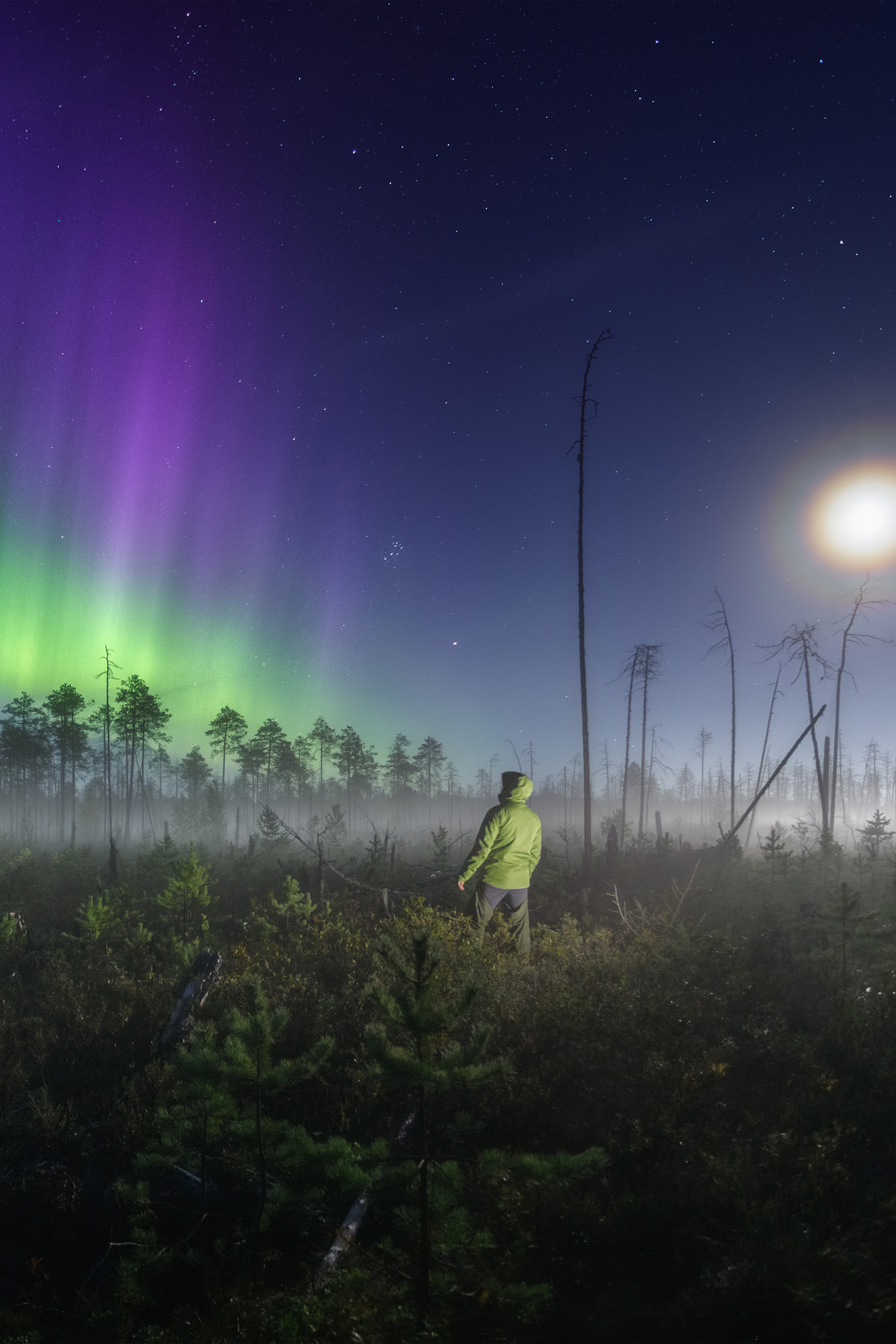 Индивидуальные проекты