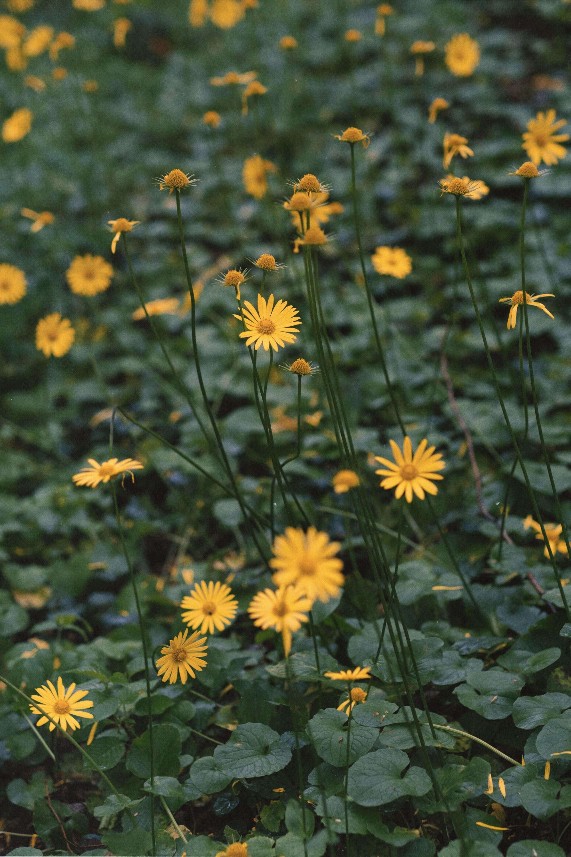 Туапсе. Персональный фотограф Москва Кислякова Алина. Фотограф в Дубае, ОАЭ
