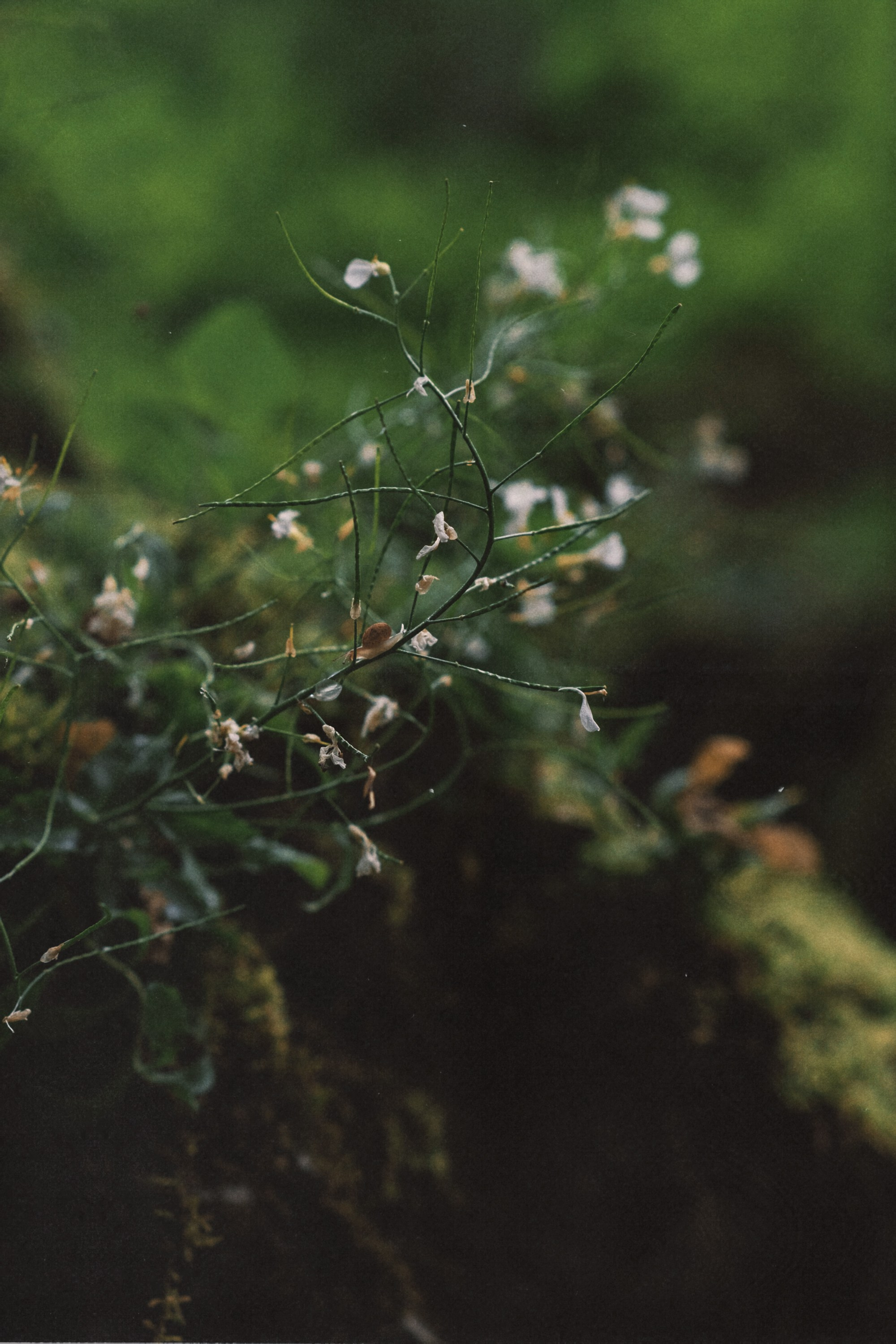 Туапсе. Персональный фотограф Москва Кислякова Алина. Фотограф в Дубае, ОАЭ