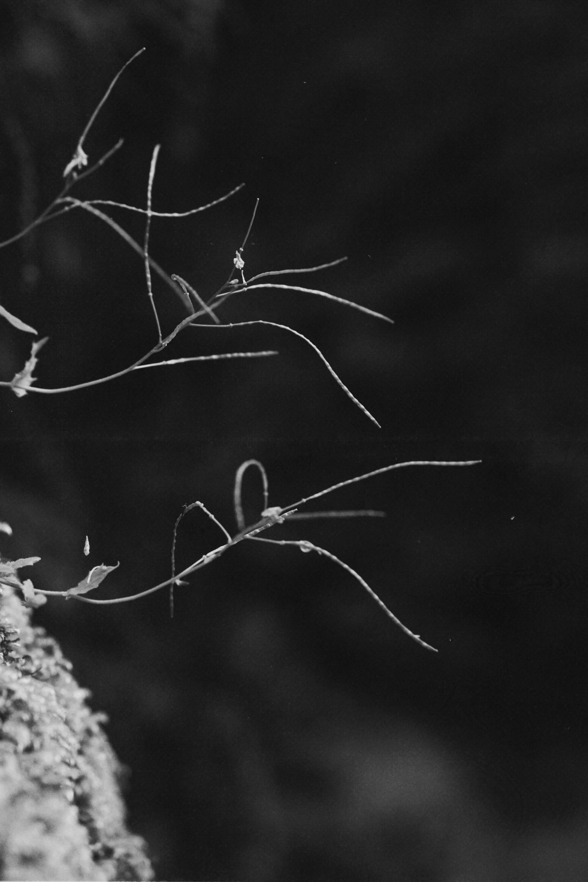 Туапсе. Персональный фотограф Москва Кислякова Алина. Фотограф в Дубае, ОАЭ