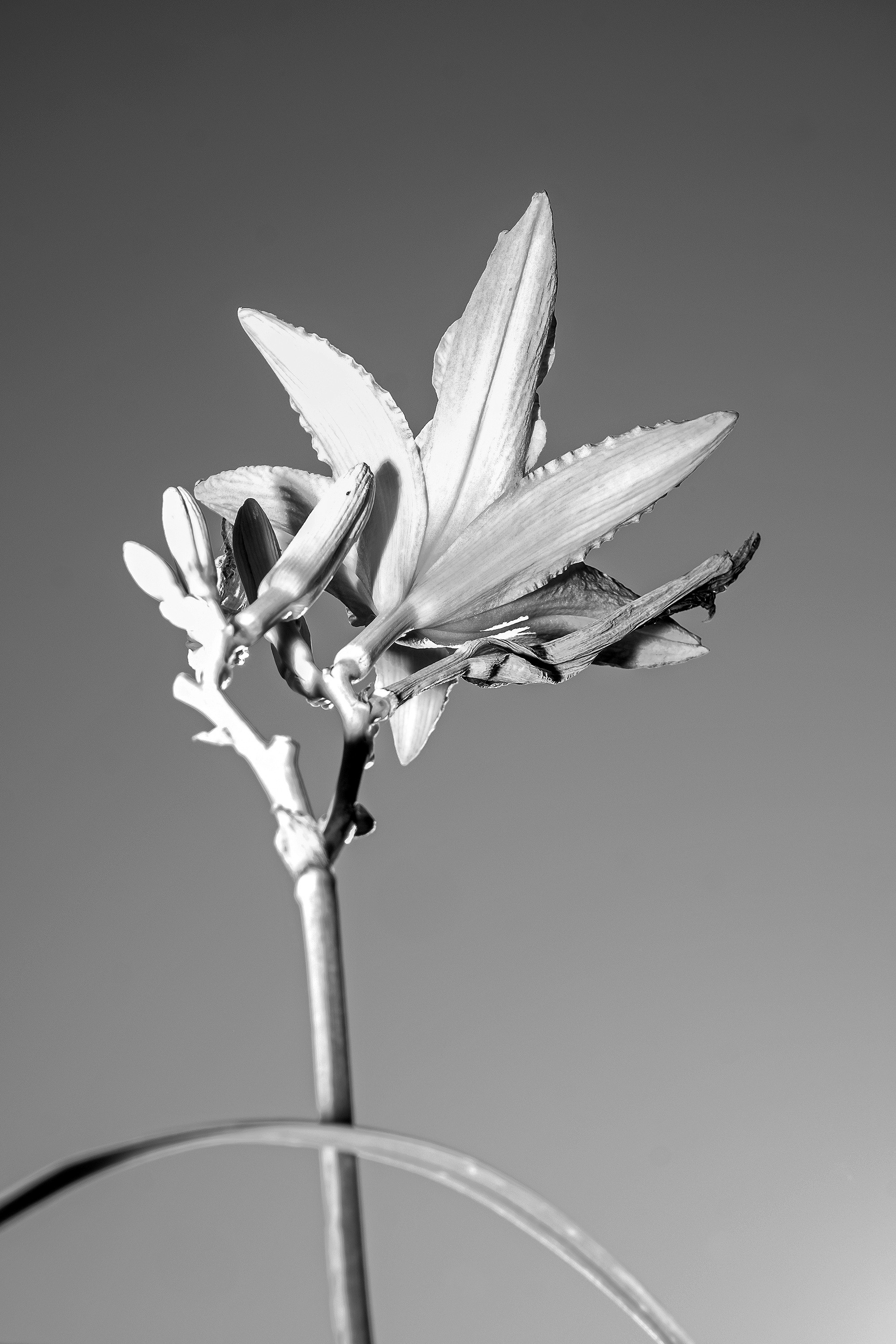 Пересобирая себя. Стас Понятовский