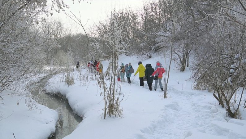 Городищенский лог: спасти и сохранить!