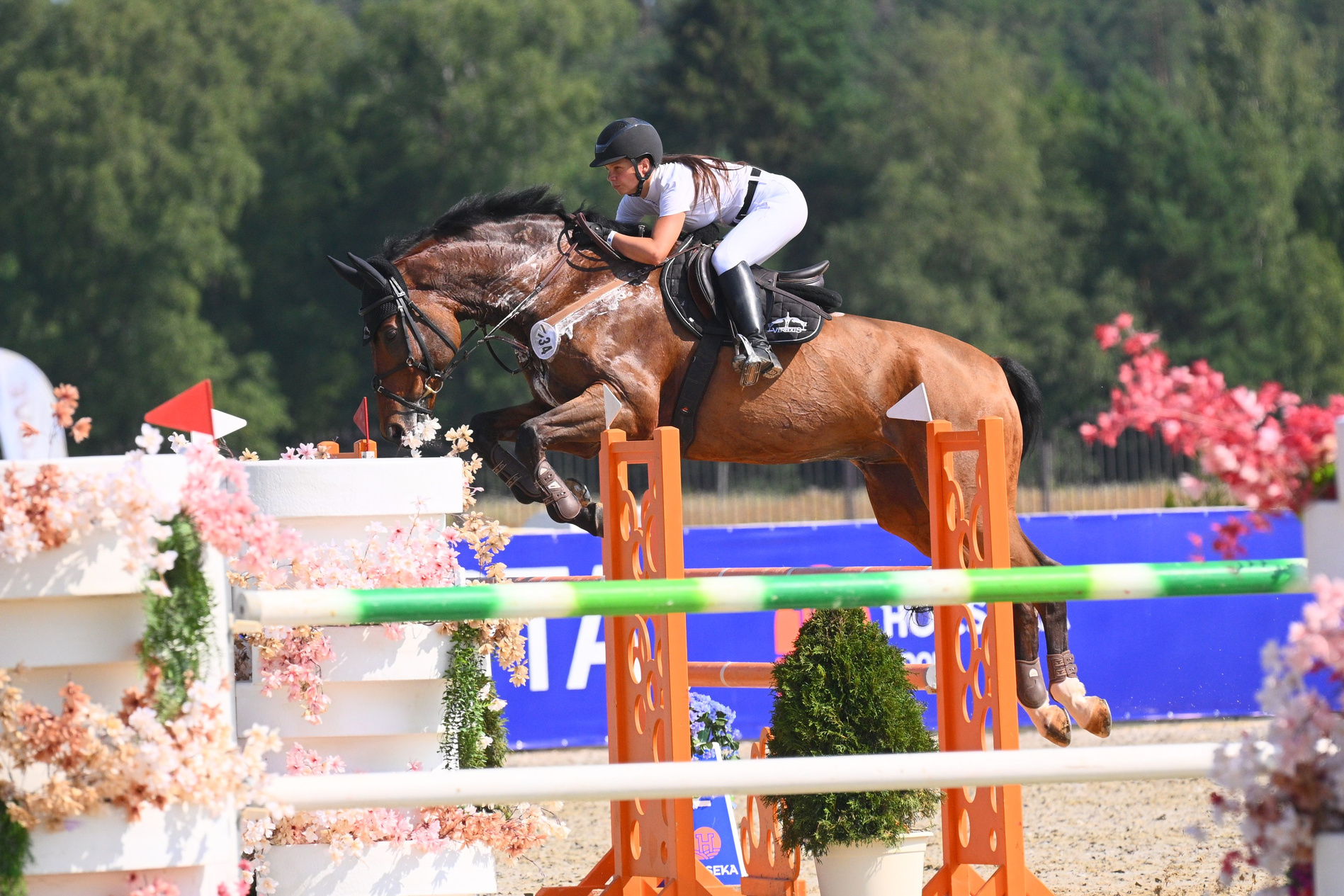 30 июля и 01-03 авг 2025 — Чемпионат России. ТУРНИРНАЯ КОННАЯ ФОТОГРАФИЯ, Руднева Ольга и Евгений Адеев