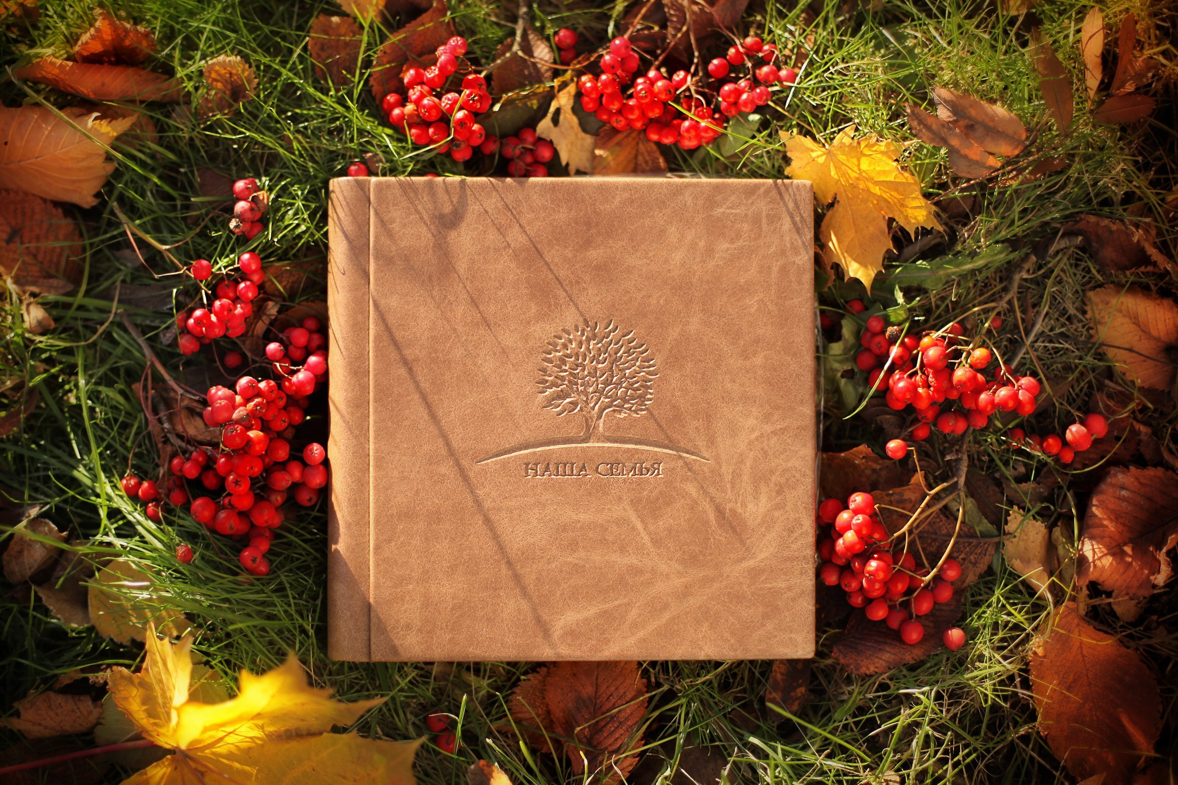 Фотокниги. Детский и семейный фотограф Муксимова Ирина