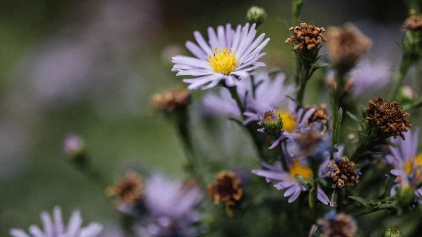 Церковный, семейный и репортажный фотограф Волгоград, Волжский