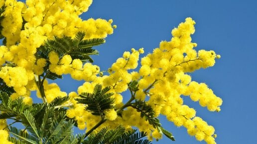 АКТУАЛЬНОЕ. Детский и семейный фотограф Нижнего Новгорода и Москвы Олеся Ратникова