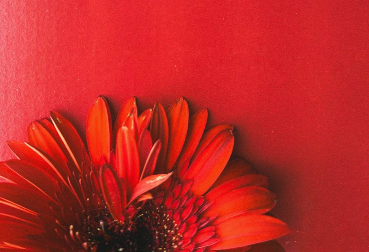 Мобильная фотография. Анна Чугунова