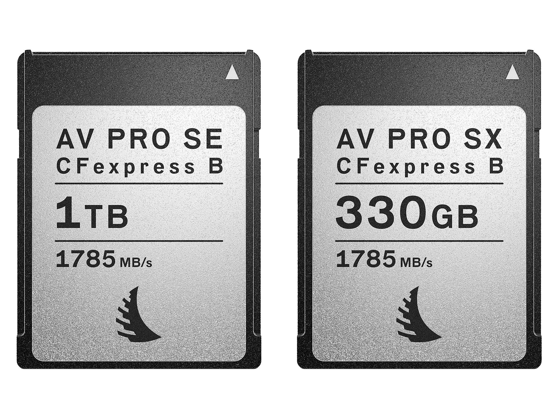 К CFexpress Type B от Angelbird добавлена ​​новая модель. Фотограф — видеограф в Москве Дмитрий Менделеев