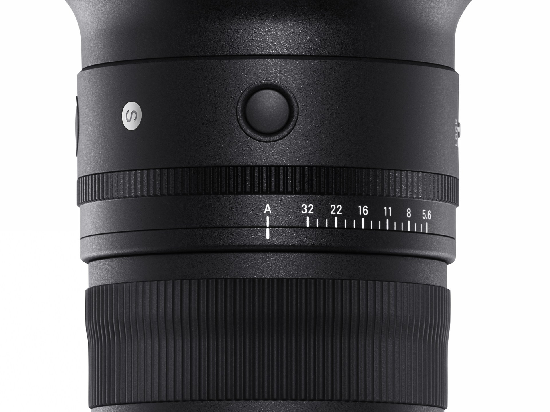 Sigma супертелеобъектив «500mm F5.6 DG DN OS | Спорт». Фотограф — видеограф в Москве Дмитрий Менделеев