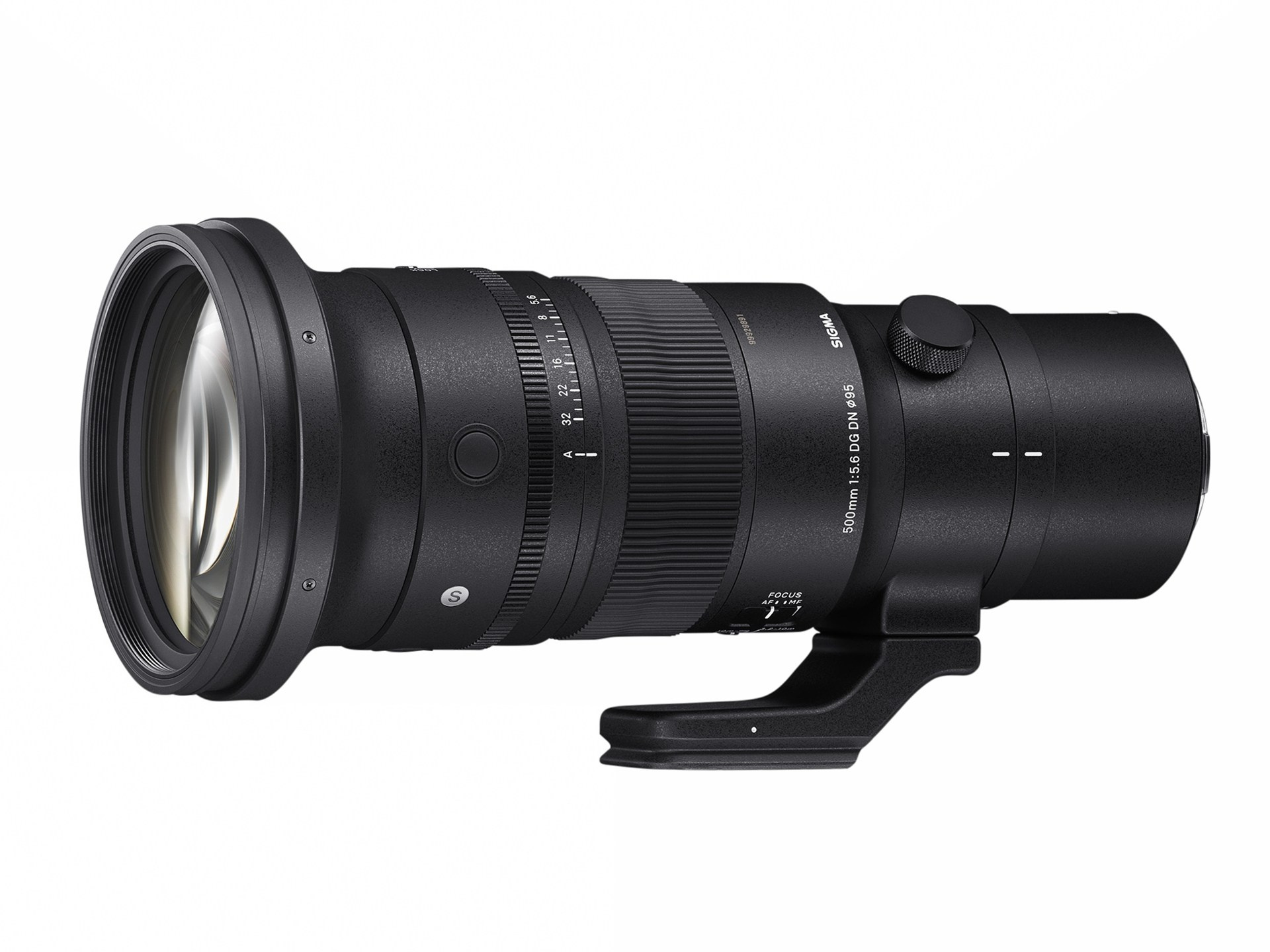 Sigma супертелеобъектив «500mm F5.6 DG DN OS | Спорт». Фотограф — видеограф в Москве Дмитрий Менделеев